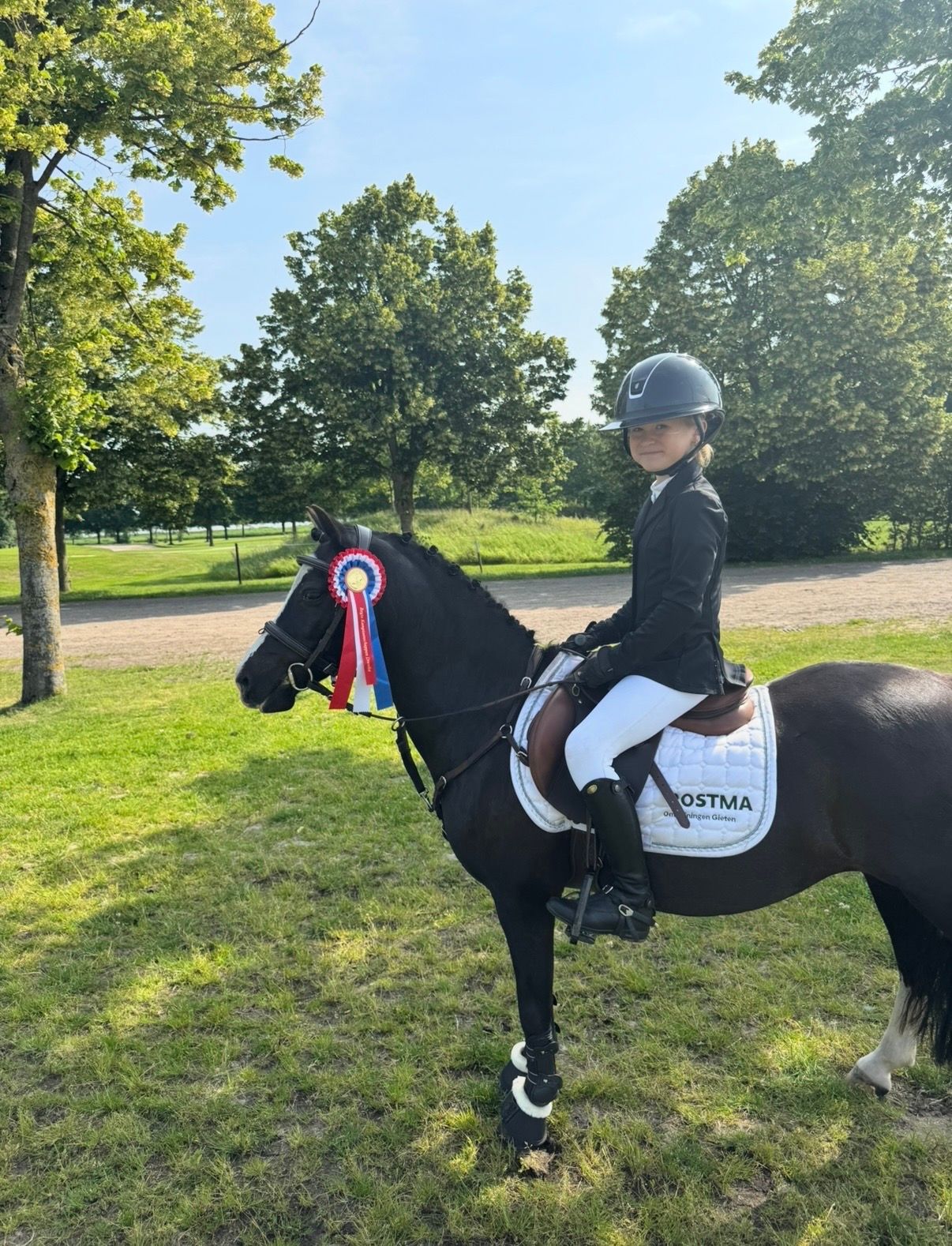 welsh allround-pony merrie 17 år zwart til salg - Foto 5