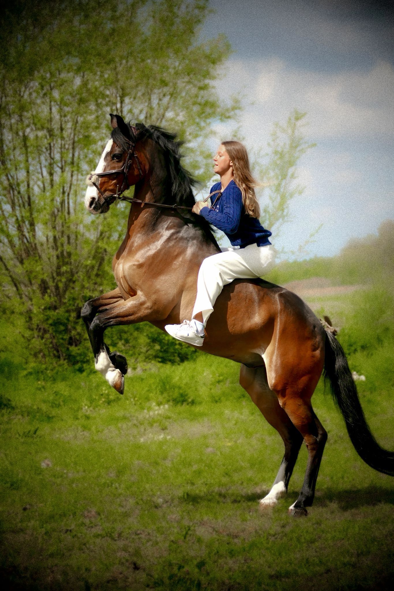 kwpn springpony ruin 18 år donkerbruin til salg - Foto 3