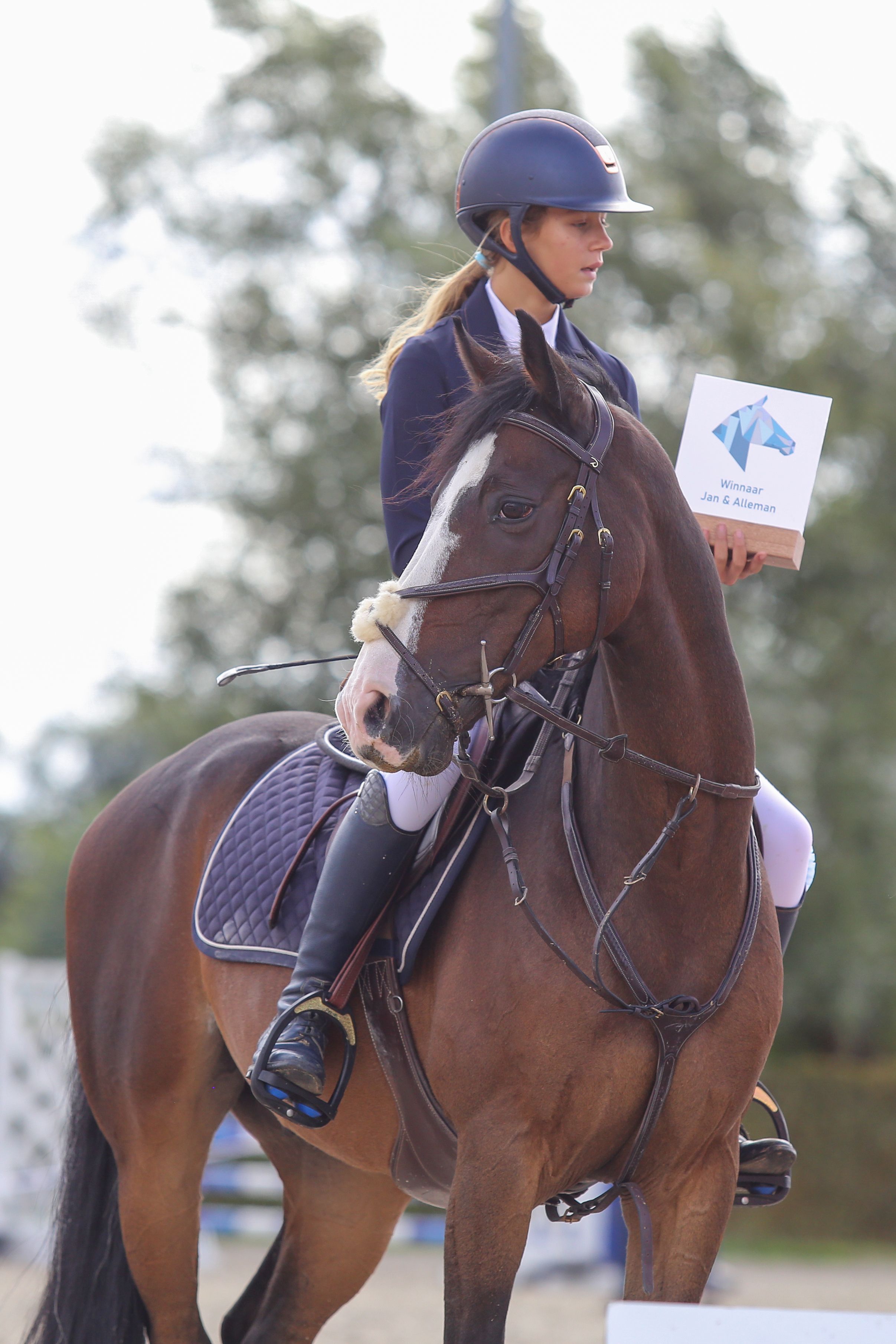 kwpn springpony ruin 18 år donkerbruin til salg - Foto 4