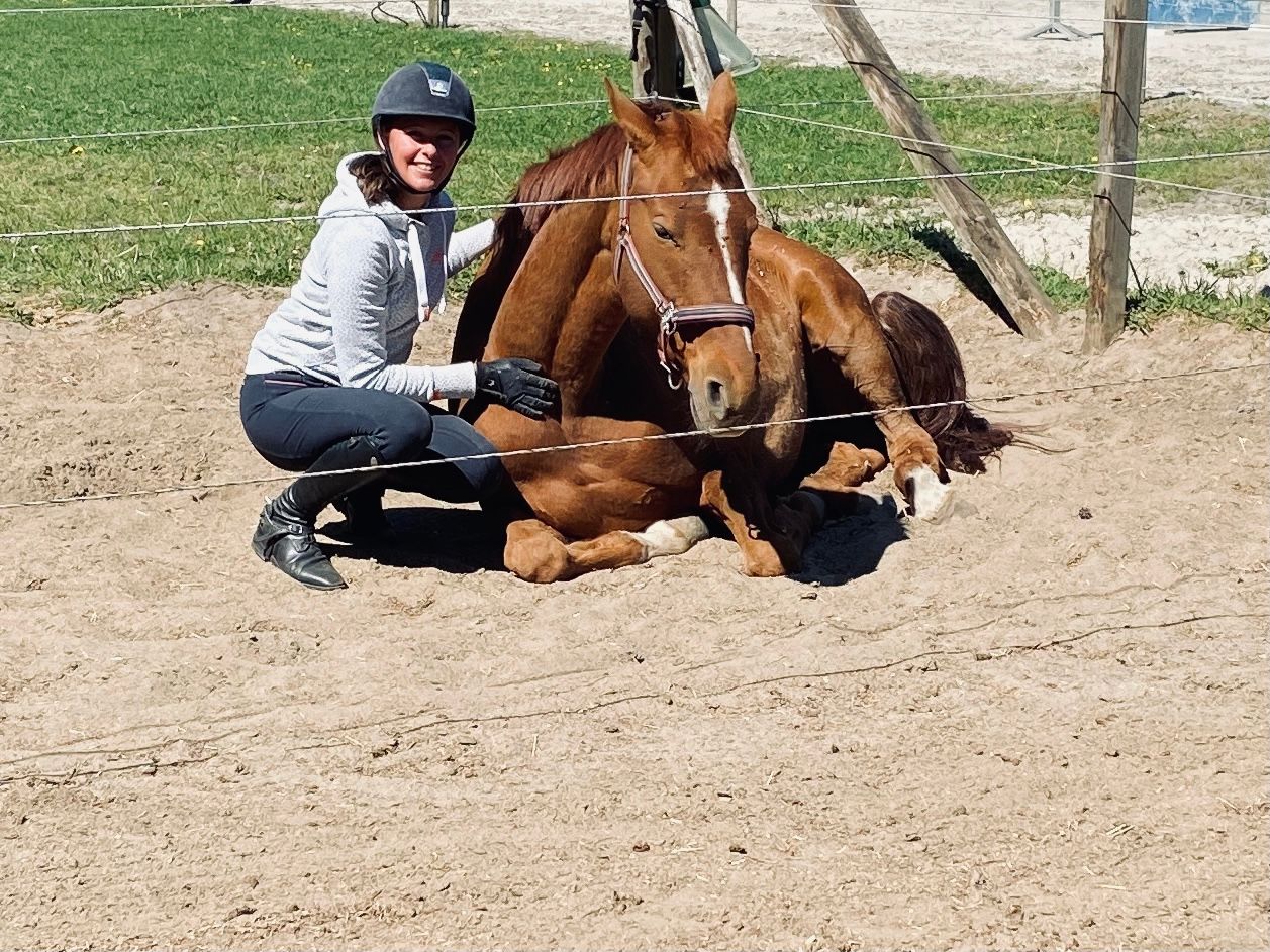 recreatie-paard merrie 21 Jahre alt vos zu verkaufen - Foto 3