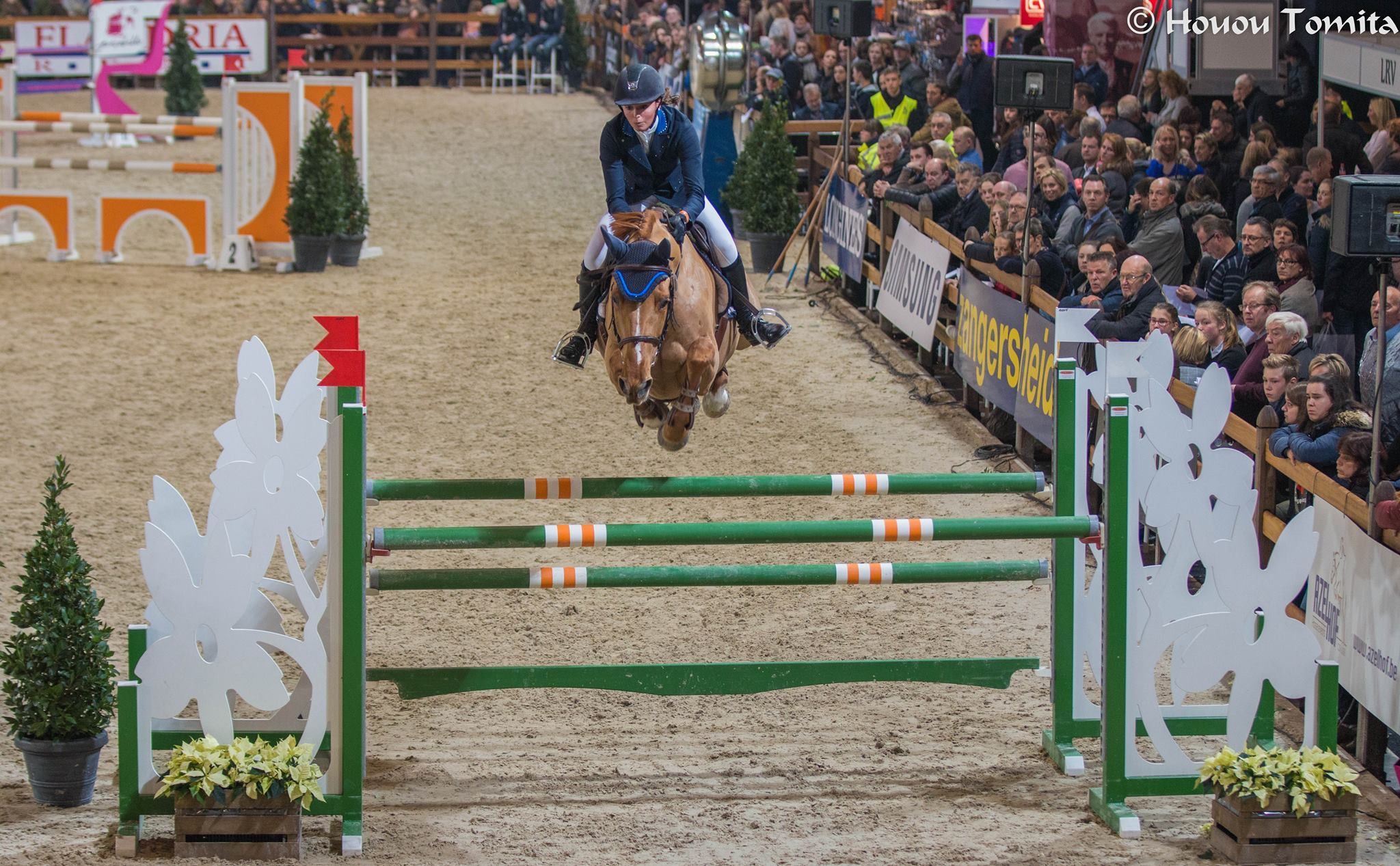 recreatie-paard merrie 21 Jahre alt vos zu verkaufen - Foto 5