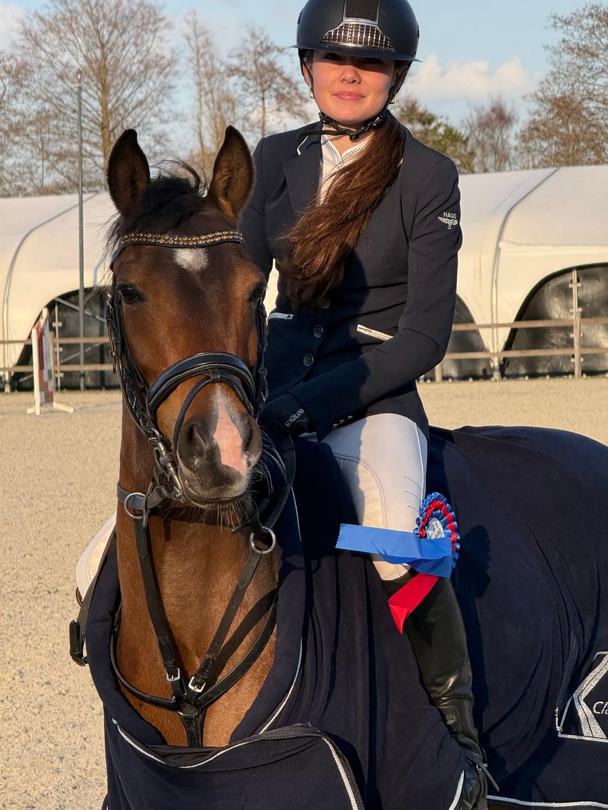 nrps springpony merrie 8 år donkerbruin til salg - Foto 2