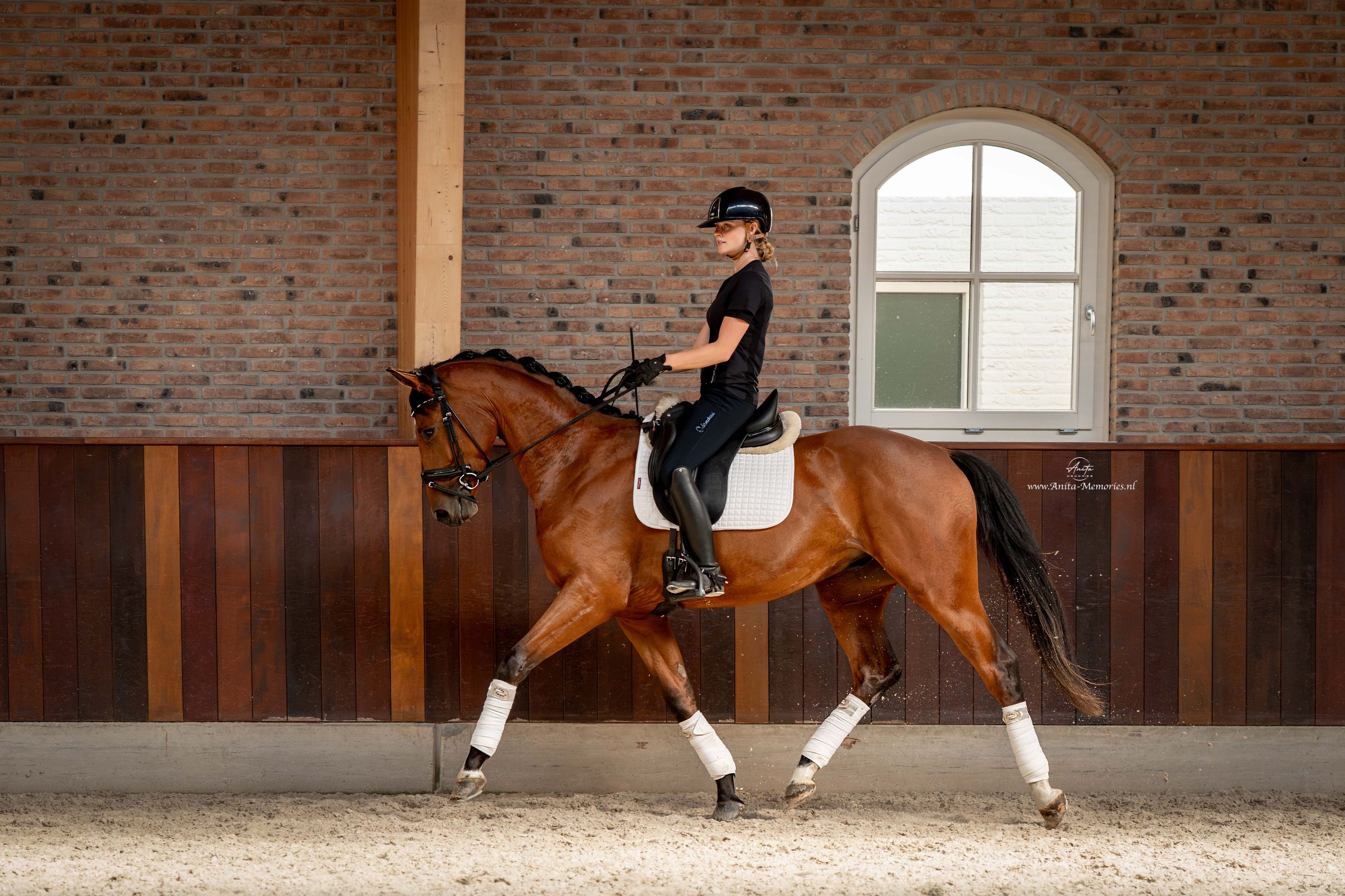 Fynch Hatton X Johnson dressuurpaard ruin 3 ani donkerbruin de vânzare - Foto 2