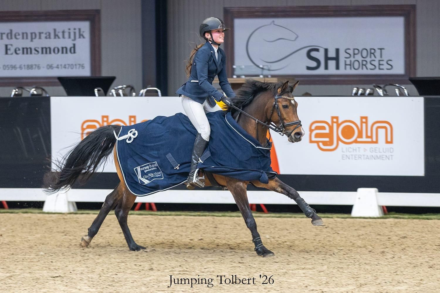 nrps springpony merrie 8 år donkerbruin til salg - Foto 6