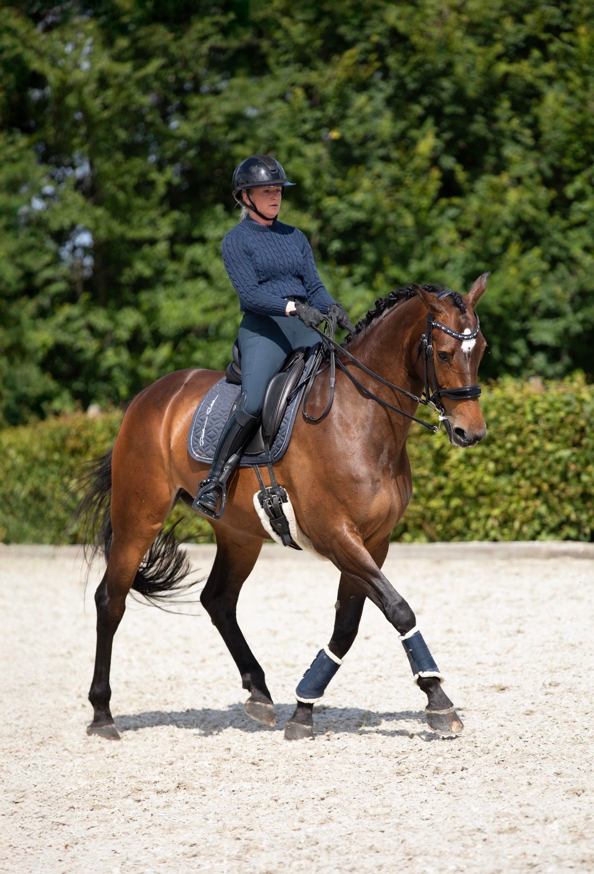 Allround-Dressurstute