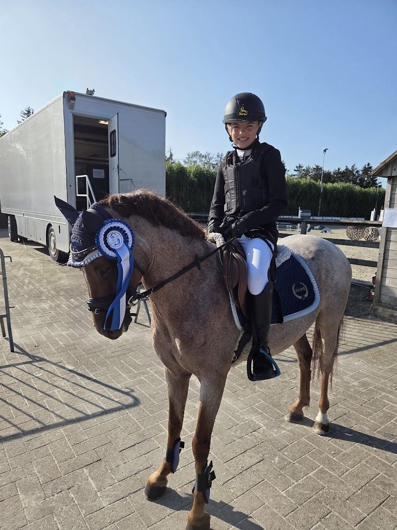 🏆 Superbrave & succesvolle B-dressuurpony te koop 🏆