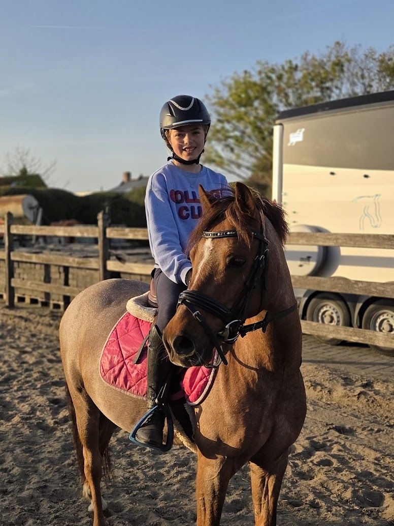 bwp dressuurpony ruin 12 jaar schimmel te koop - Foto 2