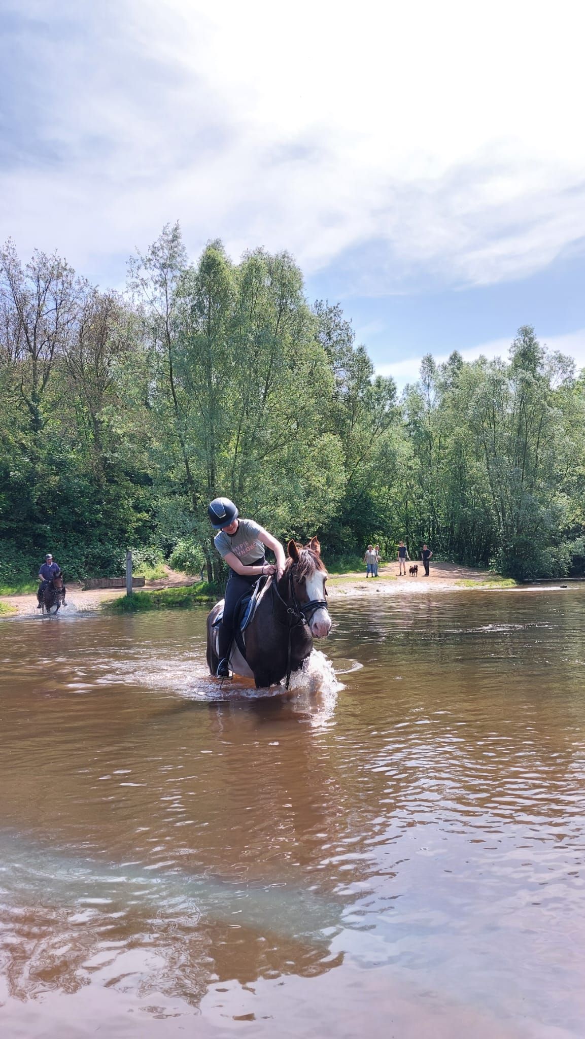 allround-pony merrie 17 years old andere-kleur for sale - Photo 2