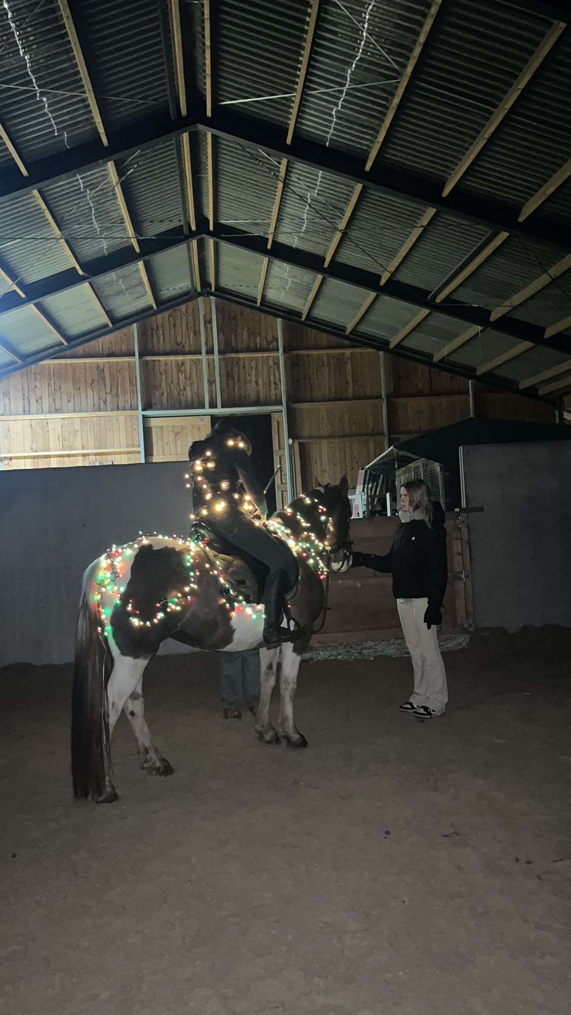 allround-pony merrie 17 years old andere-kleur for sale - Photo 5