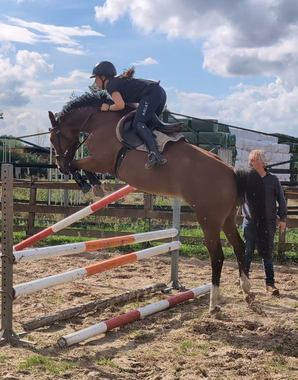 Super brave 6 jarige merrie met talent!