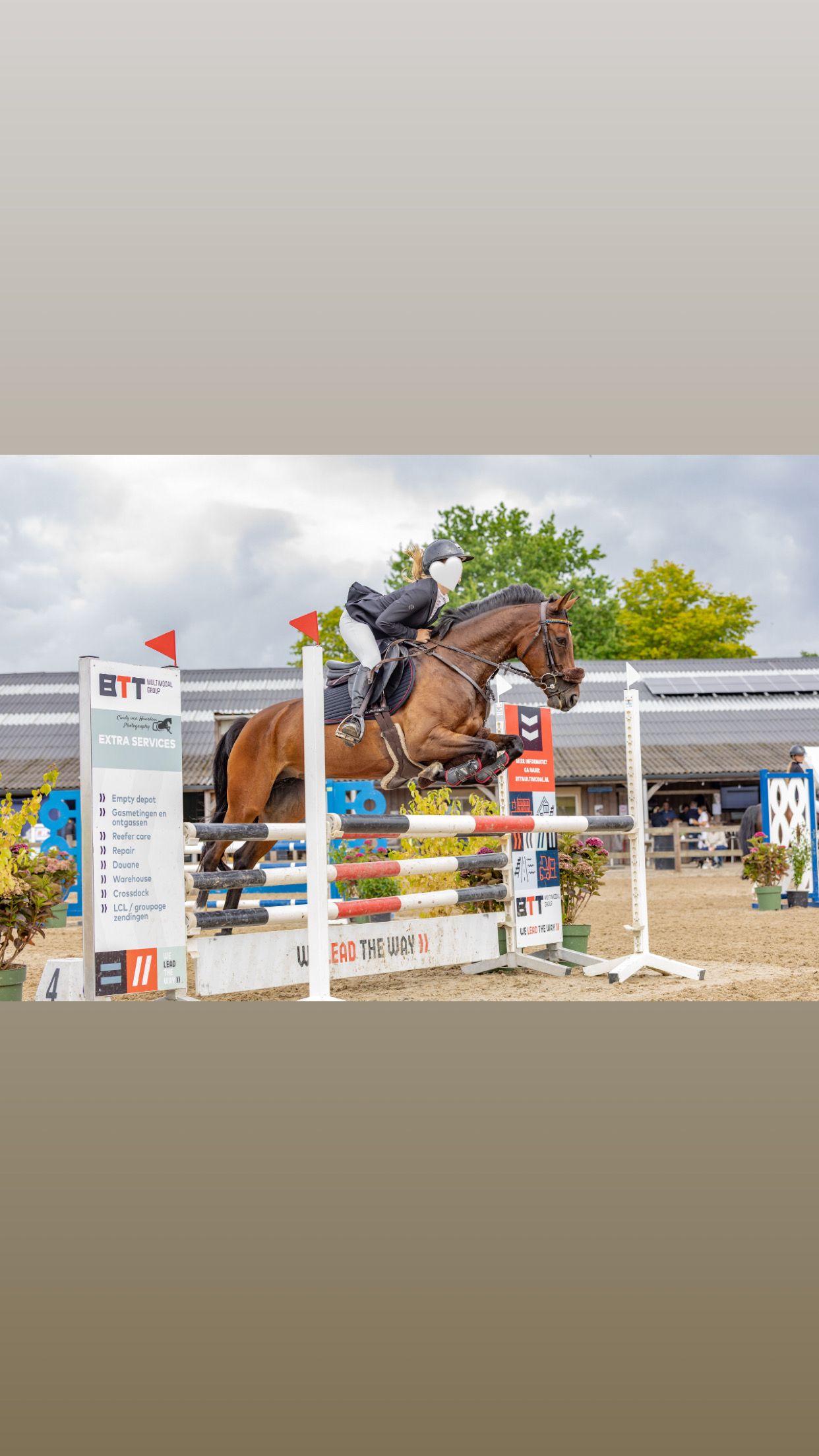 5-year-old D pony mare for sale