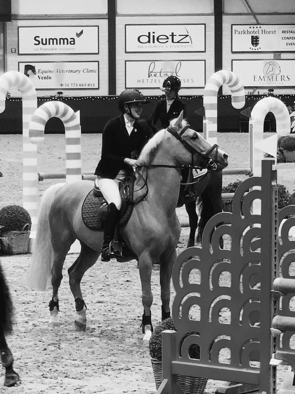 nrps springpony ruin 12 years old palomino for sale - Photo 2