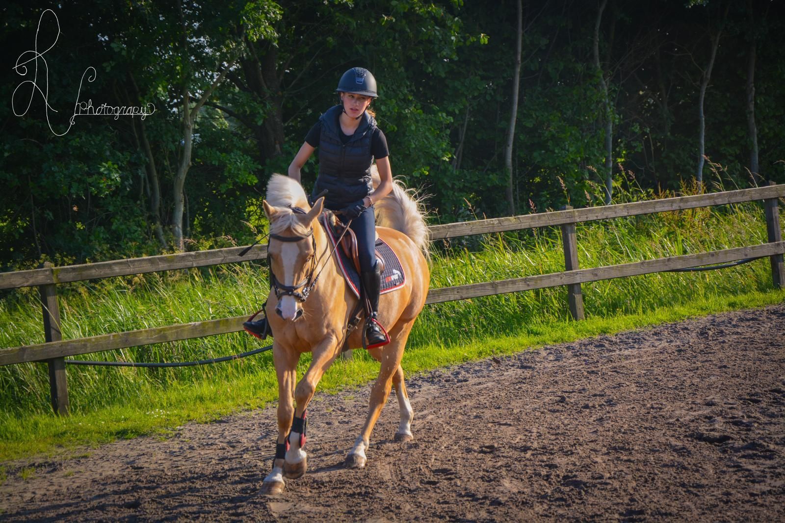 nrps springpony ruin 12 years old palomino for sale - Photo 3