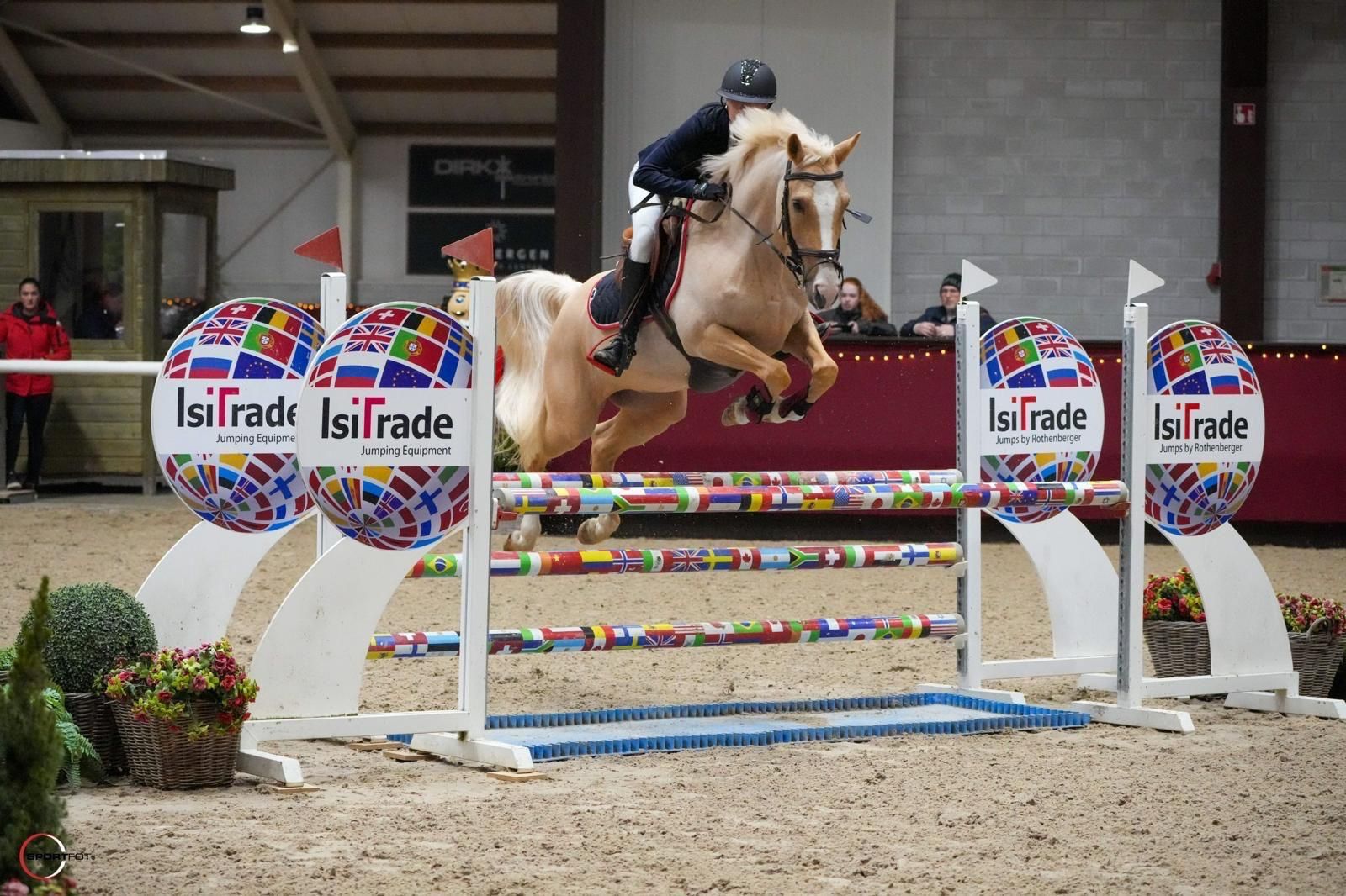 nrps springpony ruin 12 years old palomino for sale - Photo 4