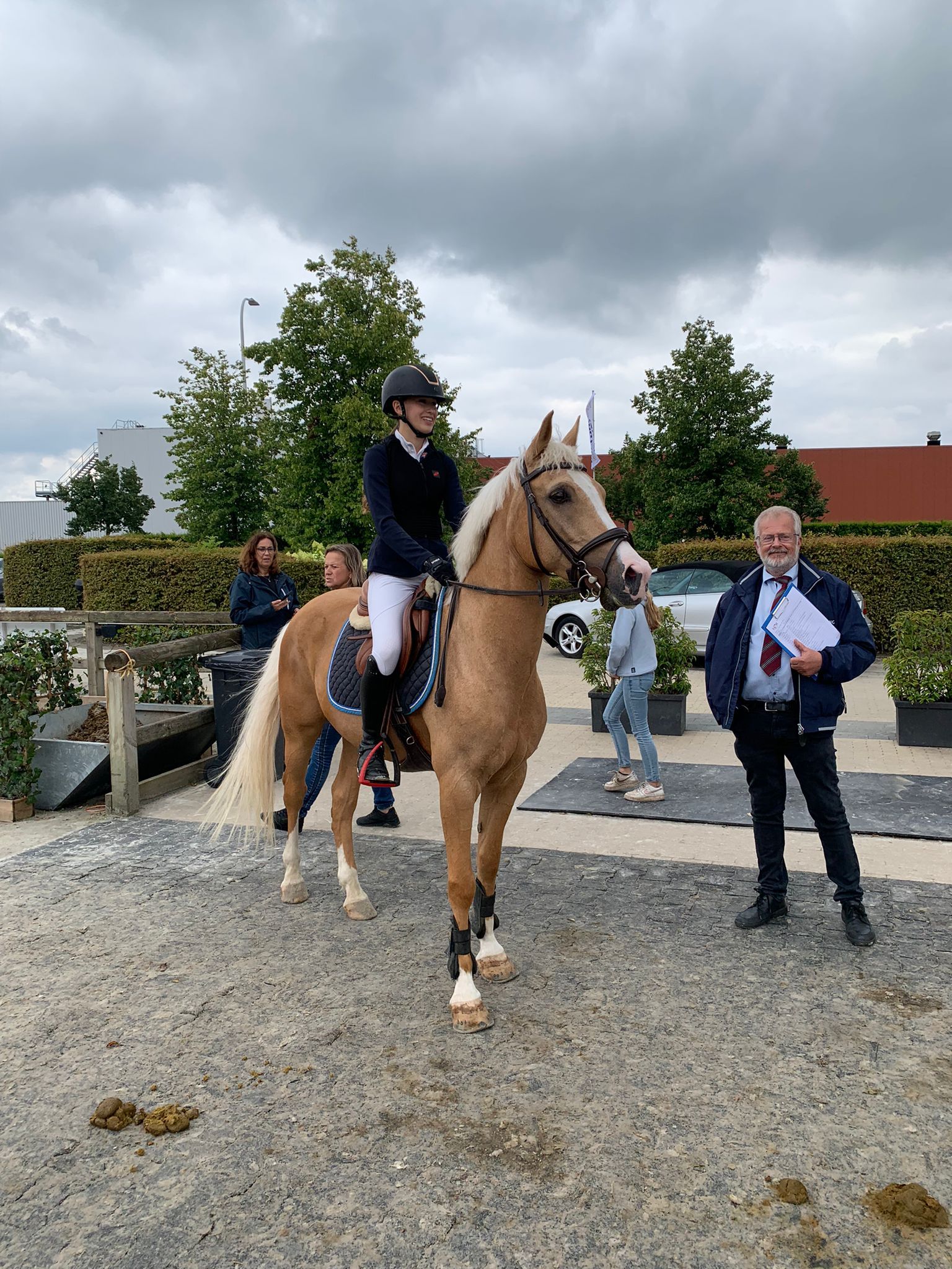 nrps springpony ruin 12 years old palomino for sale - Photo 5