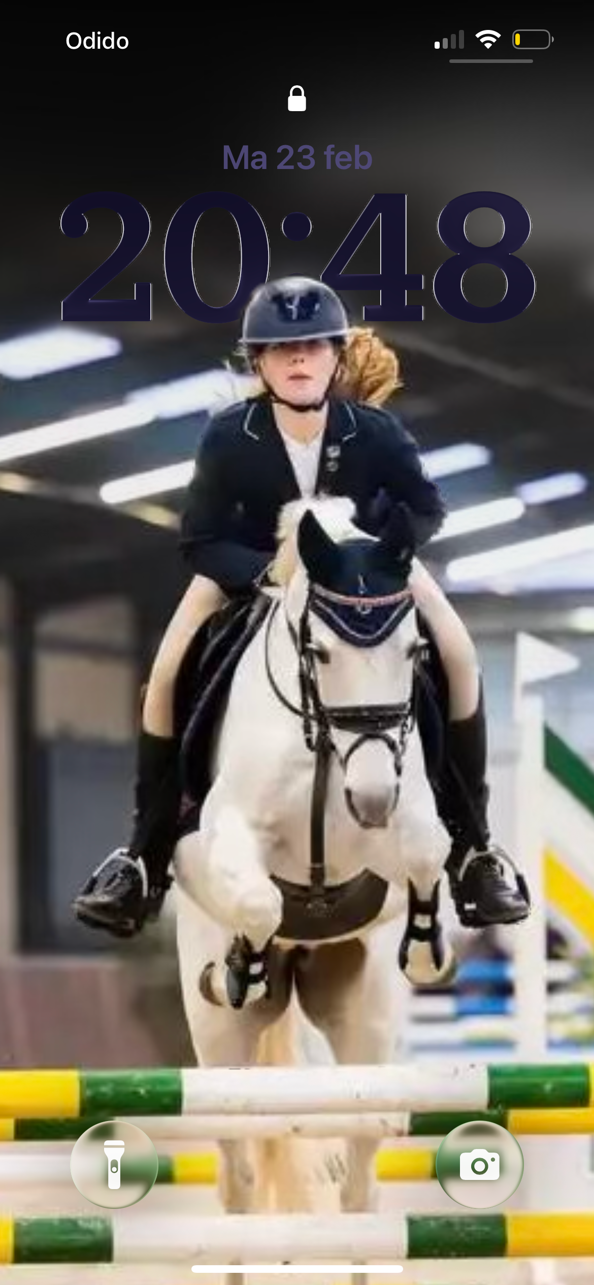connemara allround-pony merrie 18 vuotta schimmel myytävänä - Kuva 3