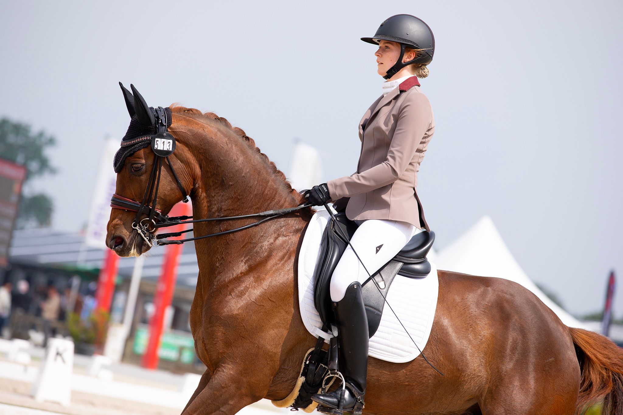 Talentvolle dressuurmerrie