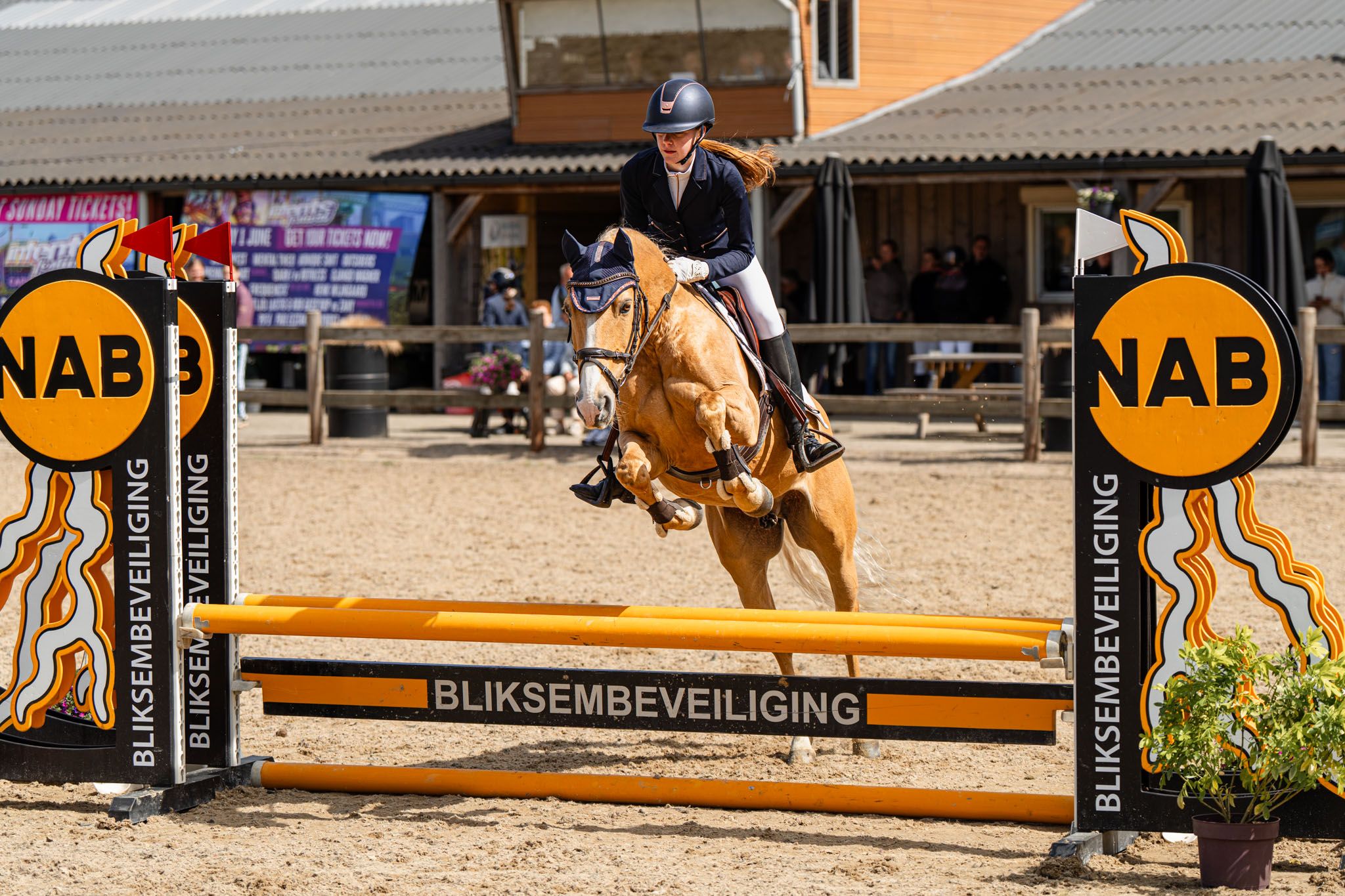 allround-pony ruin 15 years old palomino for sale - Photo 4
