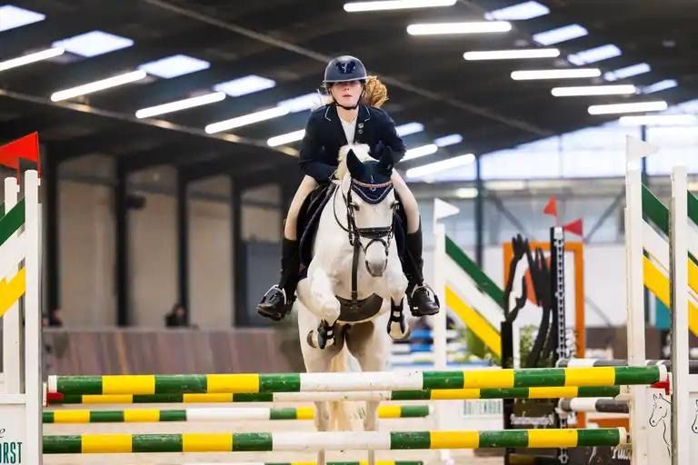 connemara allround-pony merrie 18 Jahre alt schimmel zu verkaufen - Foto 3