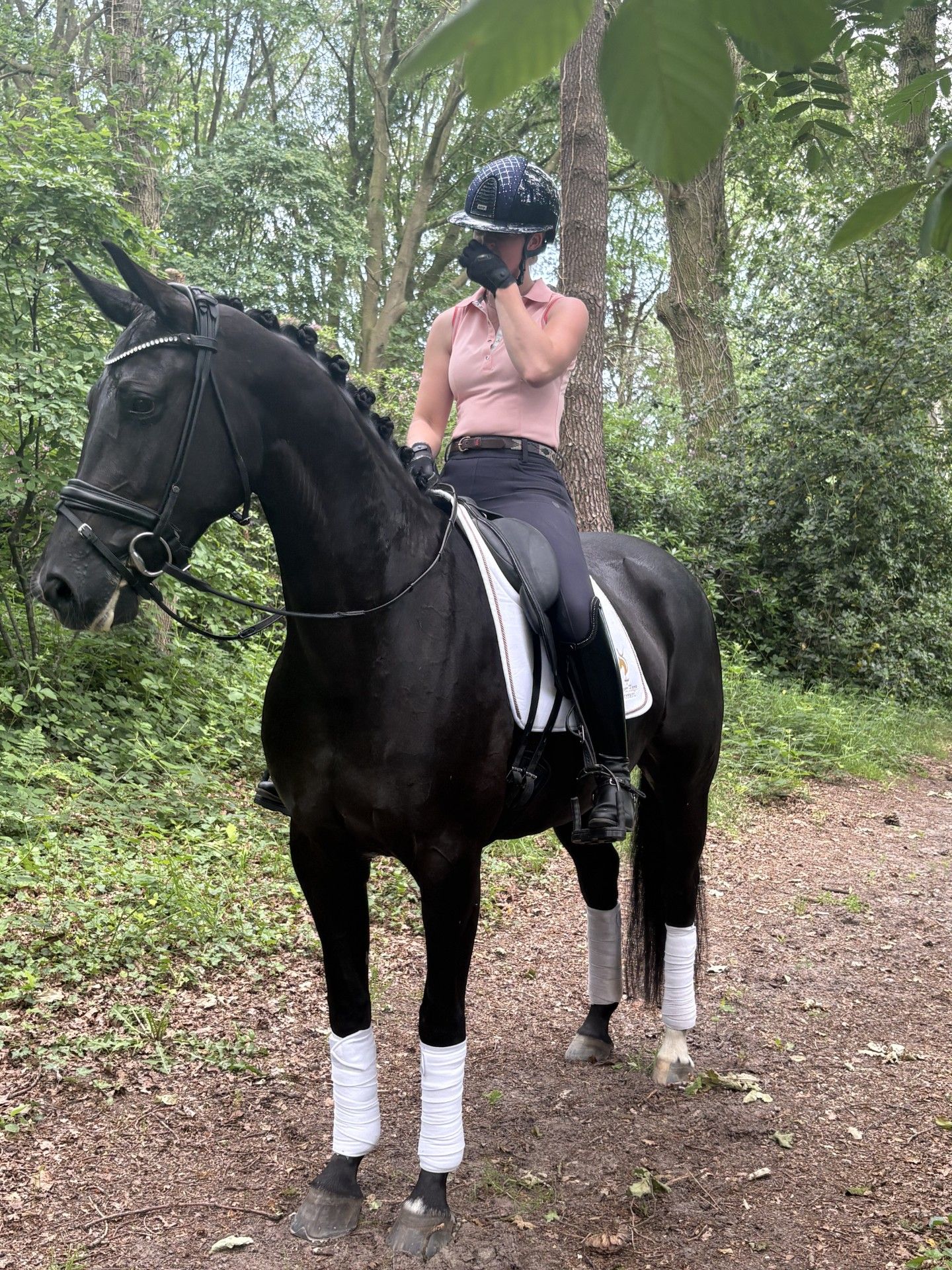 kwpn dressuurpaard merrie 5 años zwart en venta - Foto 2