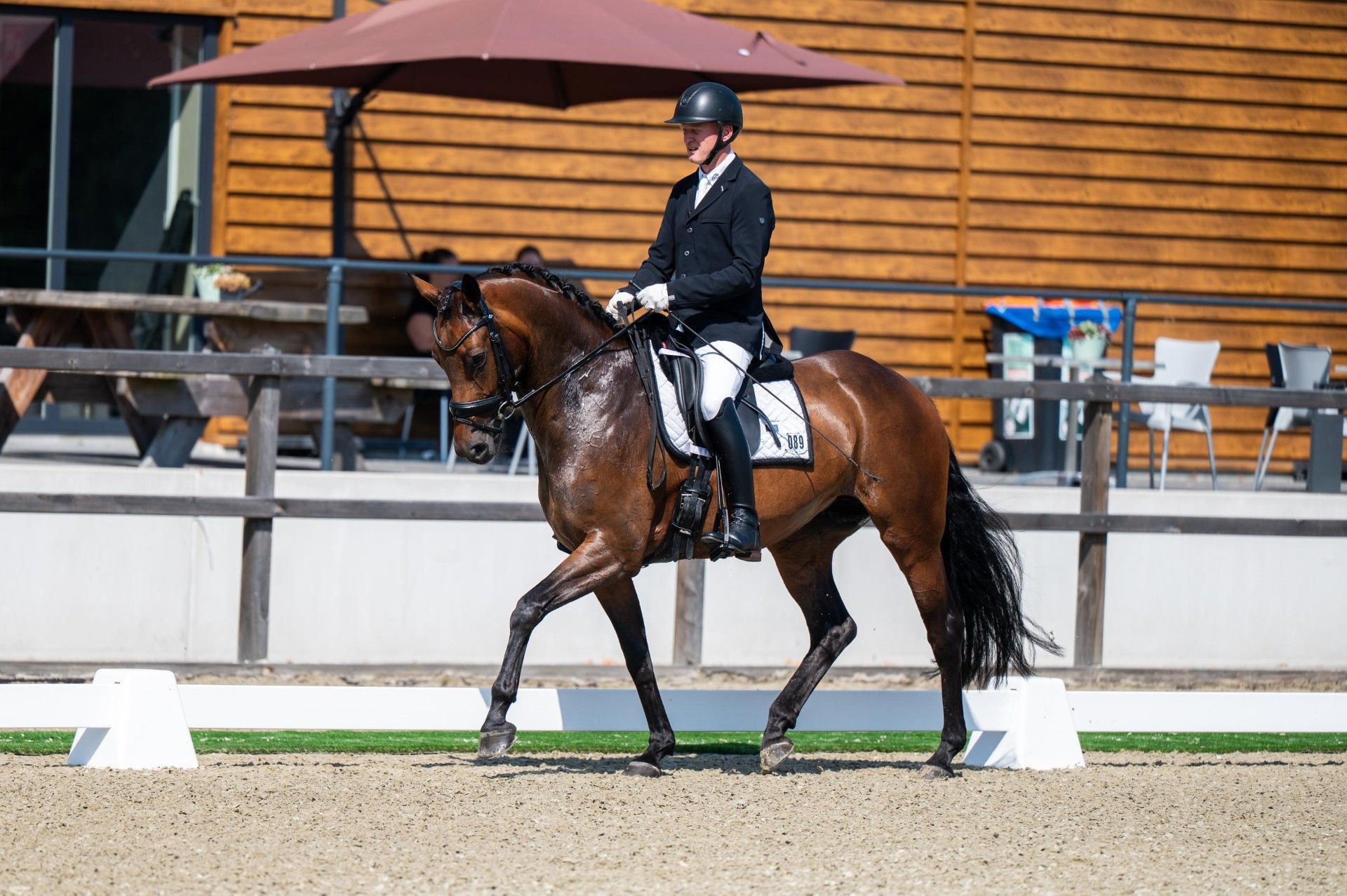 kwpn dressuurpaard merrie 5 jaar bruin te koop - Foto 3