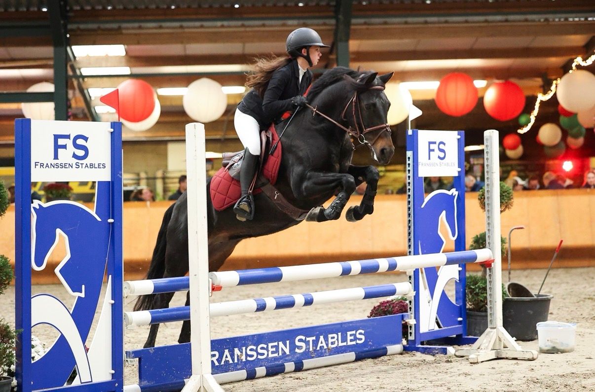 new-forest dressuurpony merrie 16 years old zwart for sale - Photo 6