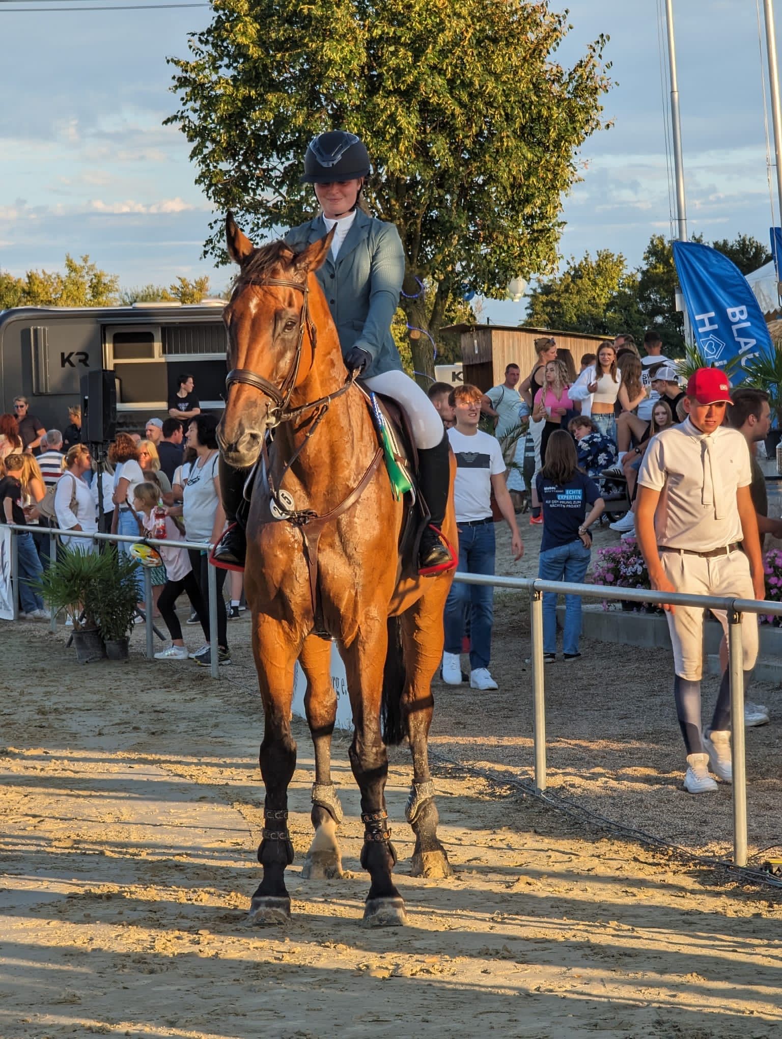 Professional Riding Lessons & Horse Training – Dressage & Show Jumping - Photo 3