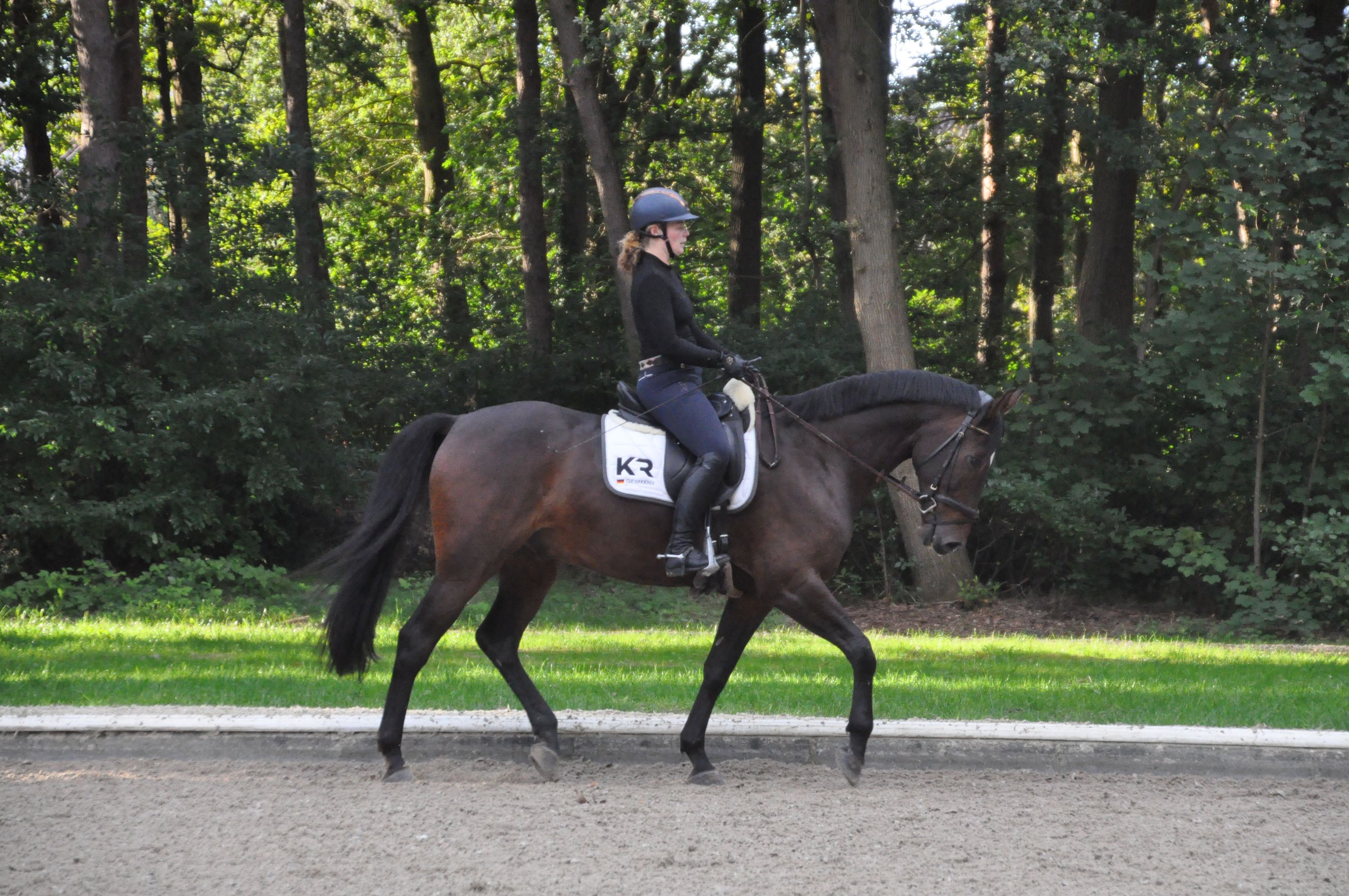 Professional Riding Lessons & Horse Training – Dressage & Show Jumping - Photo 4