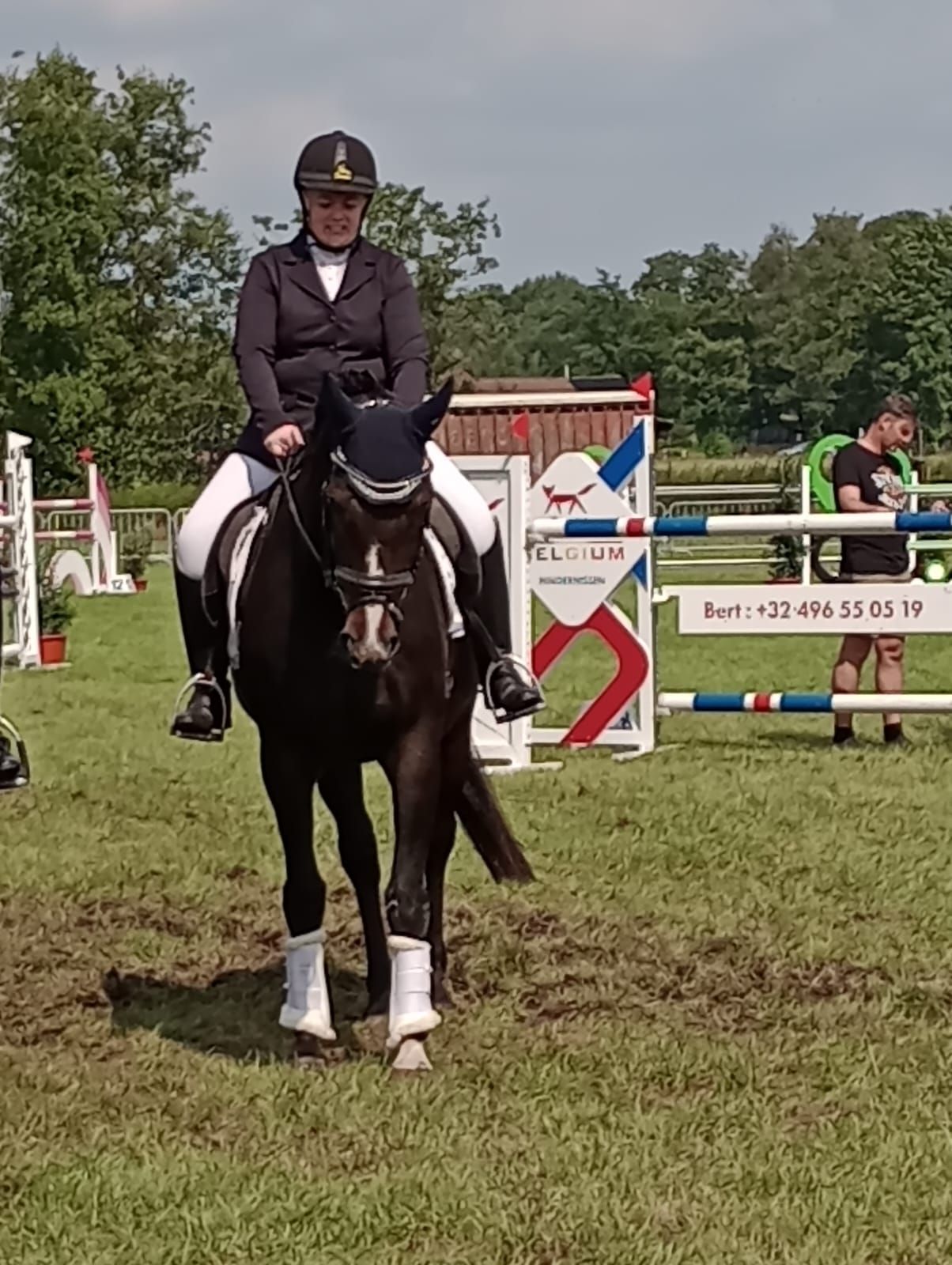 kwpn allrounder merrie 22 Jahre alt donkerbruin zu verkaufen - Foto 2