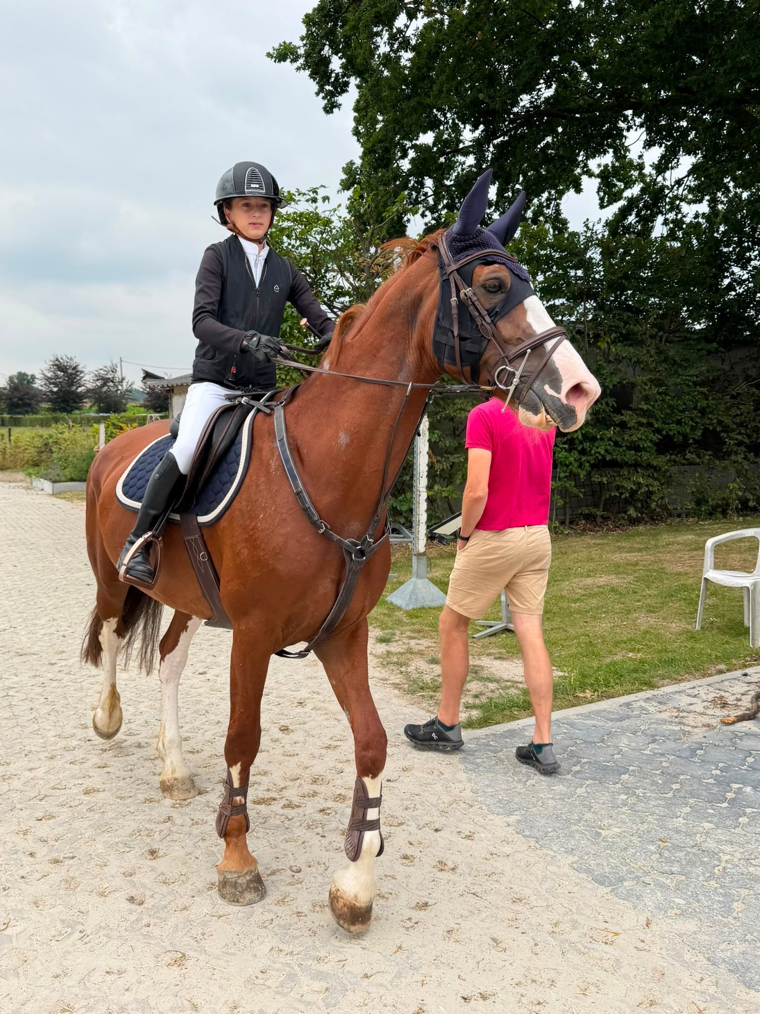 kwpn springpaard merrie 10 Jahre alt vos zu verkaufen - Foto 6