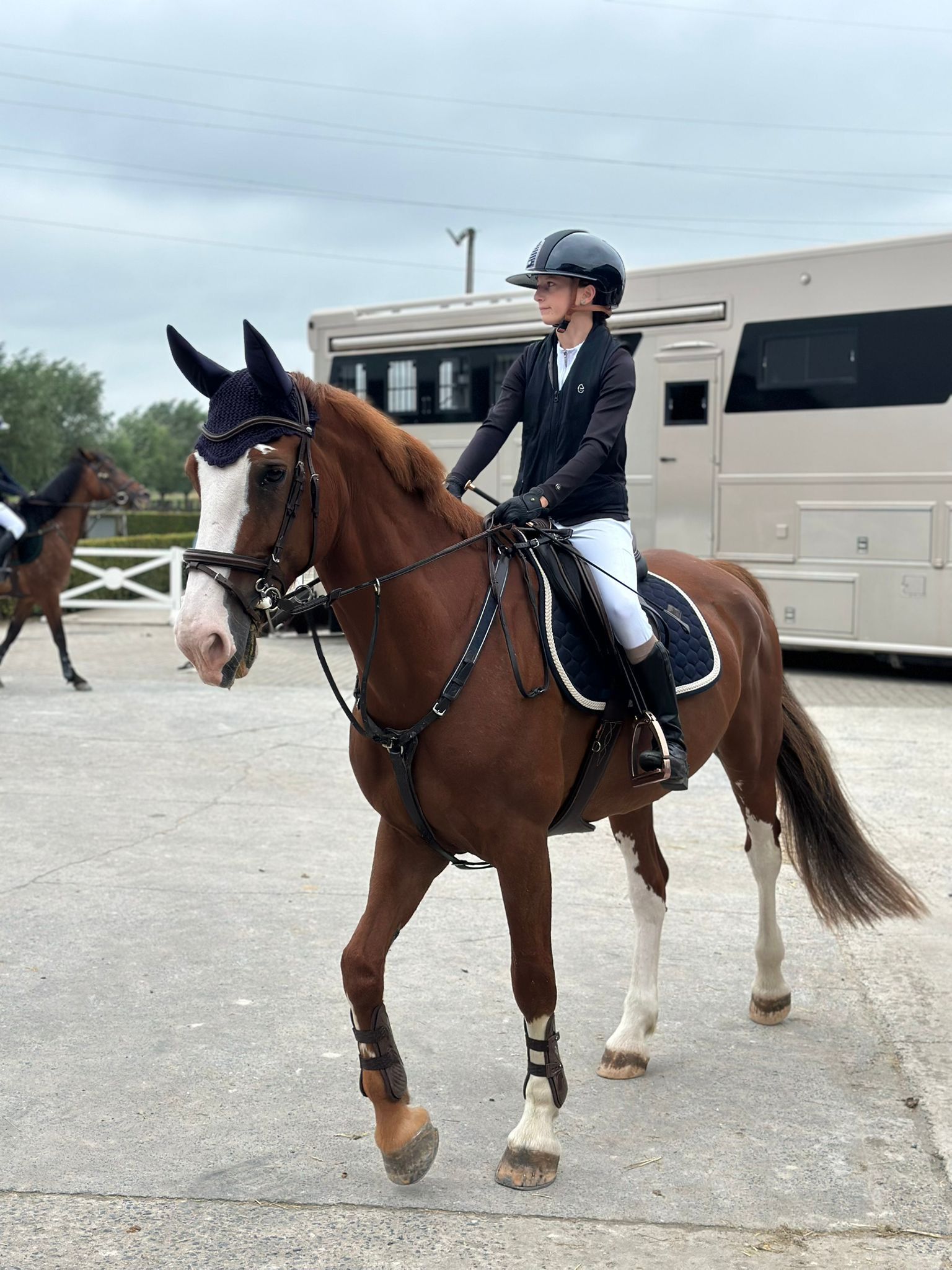 kwpn springpaard merrie 10 Jahre alt vos zu verkaufen - Foto 5