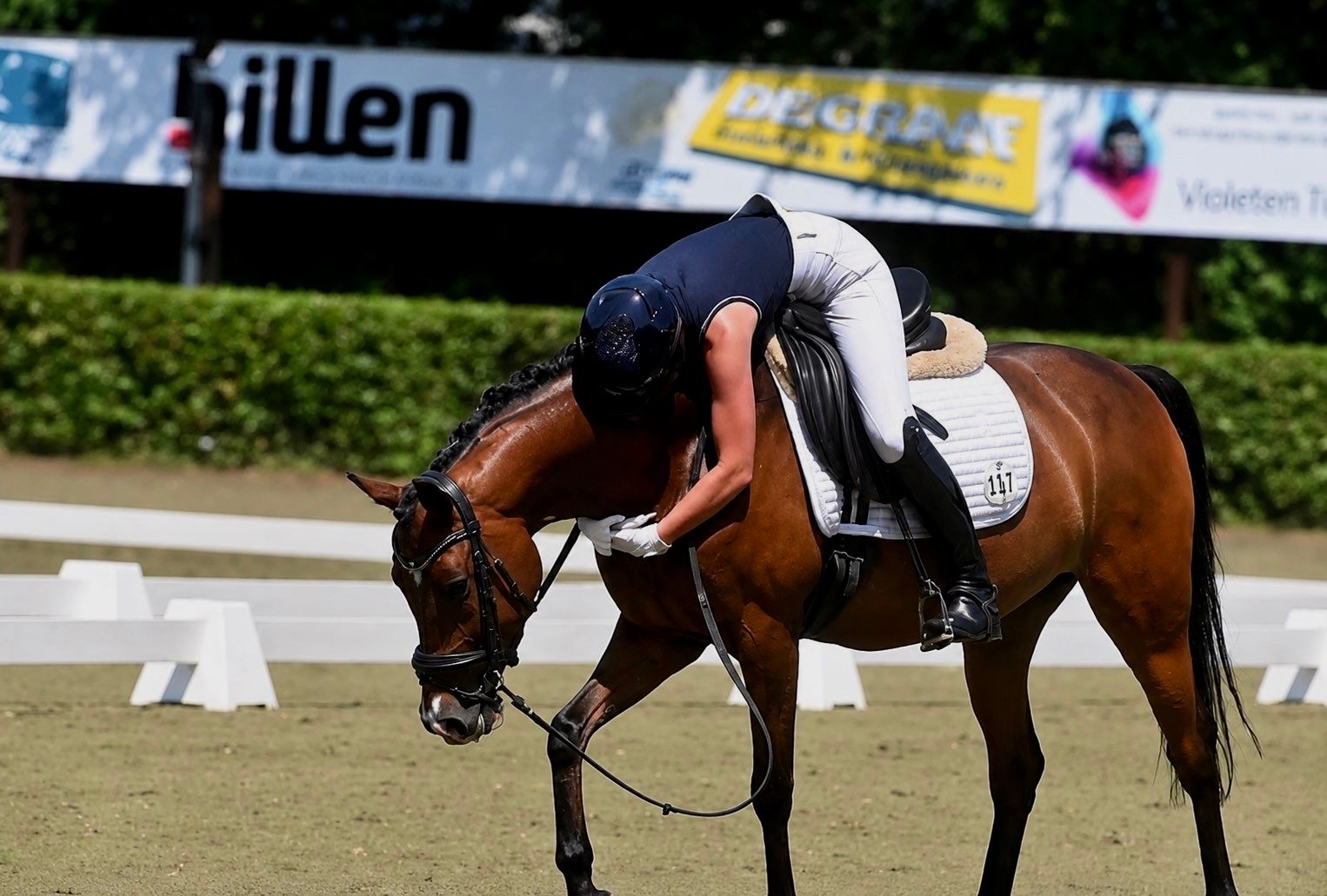 nrps dressuurpony merrie 11 سنوات bruin للبيع - صورة 5
