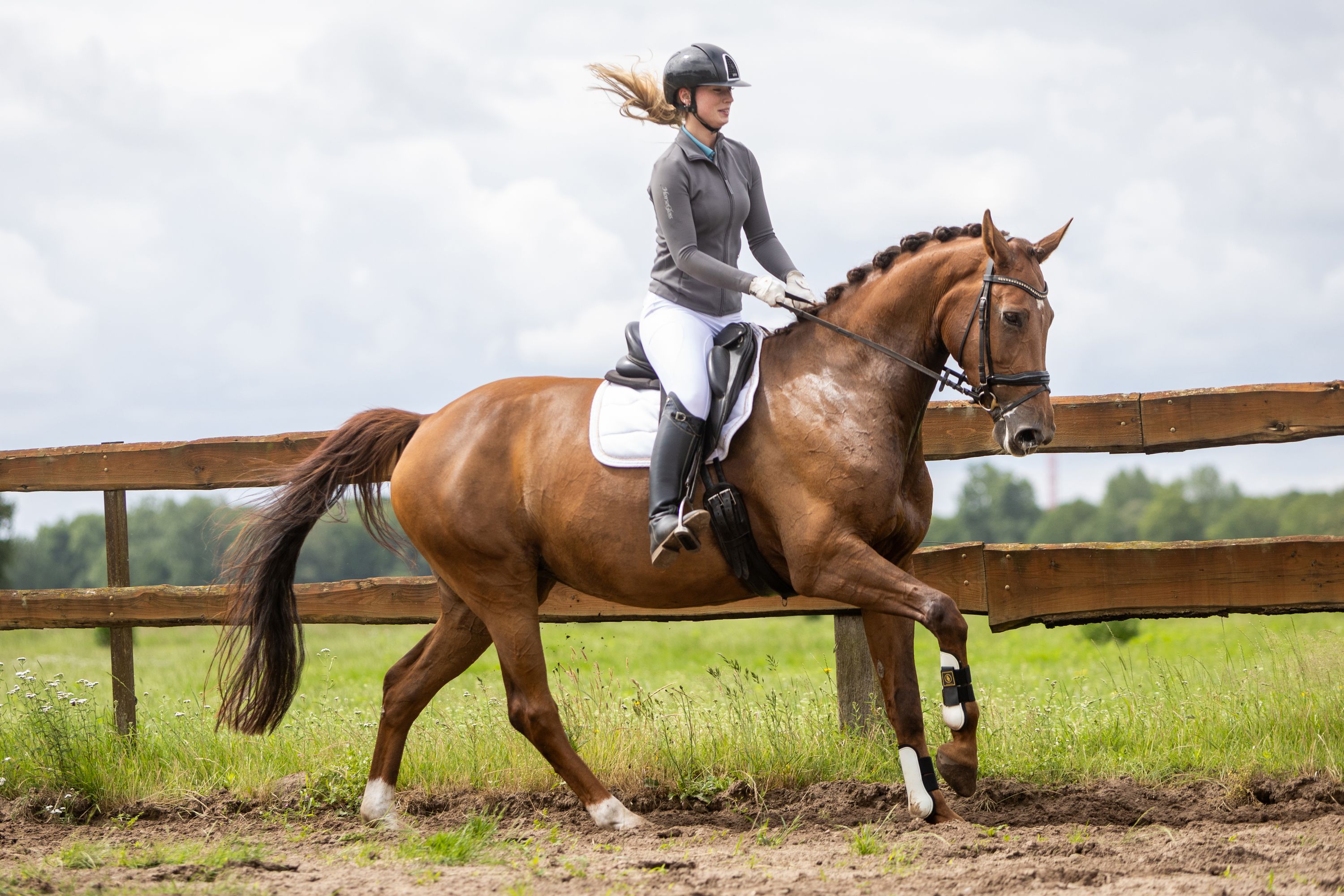 nrps dressuurpaard merrie 10 ani vos de vânzare - Foto 4