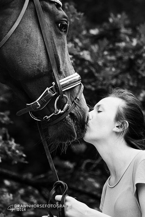 kwpn dressuurpaard ruin 17 Jahre alt vos zu verkaufen - Foto 2