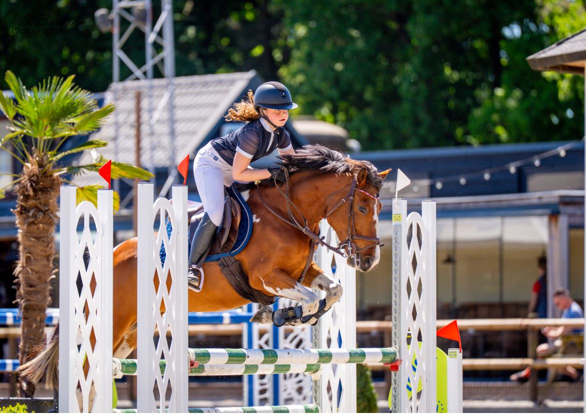 ander allround-pony merrie 10 Jahre alt andere-kleur zu verkaufen - Foto 4