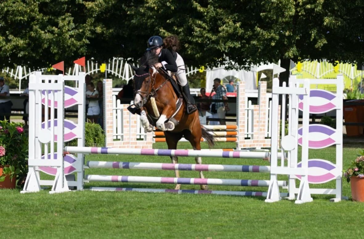 ander allround-pony merrie 10 Jahre alt andere-kleur zu verkaufen - Foto 2
