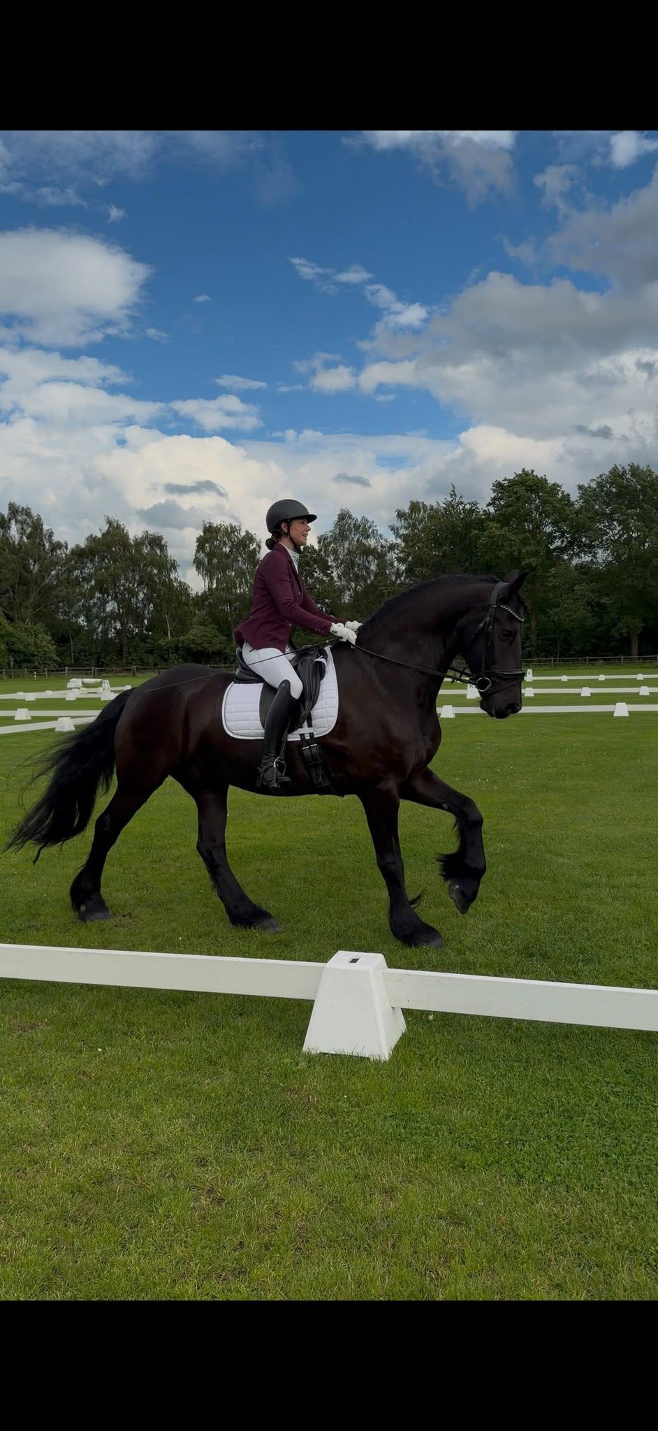 dressuurpaard ruin 16 años zwart en venta - Foto 3