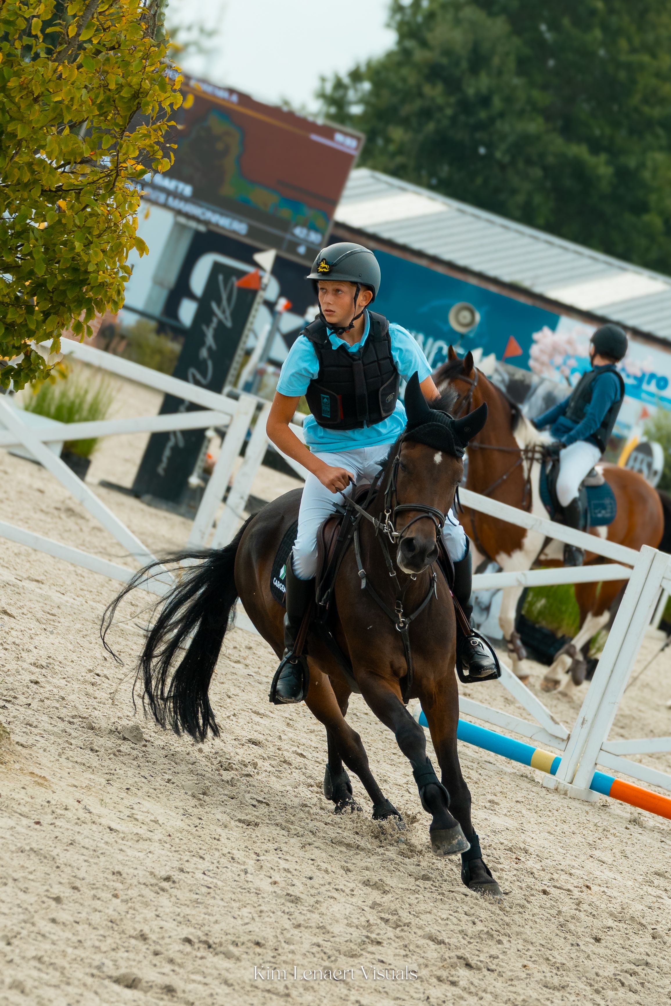 new-forest allround-pony merrie 10 ans donkerbruin à vendre - Photo 3