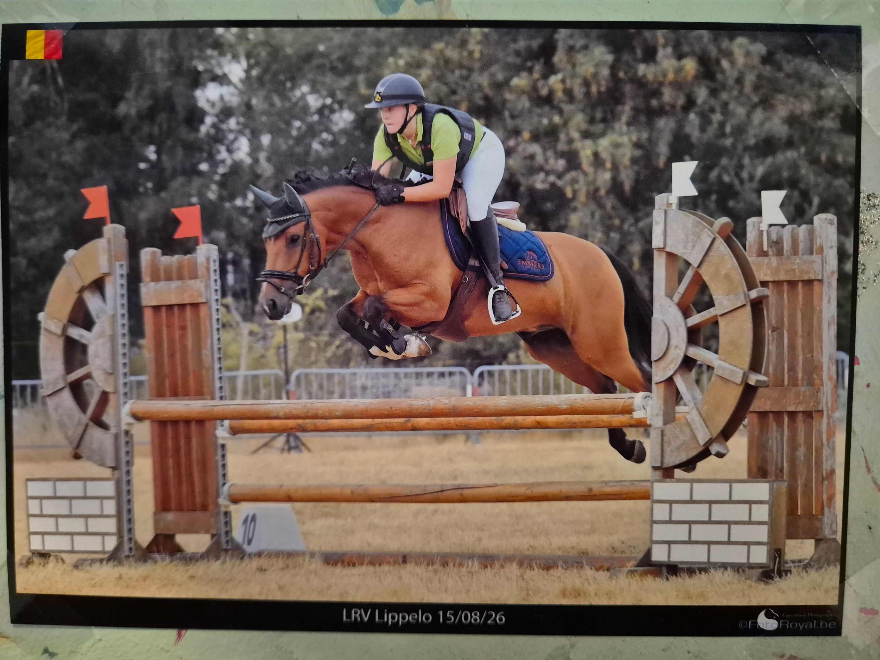 Supermild allround D-pony