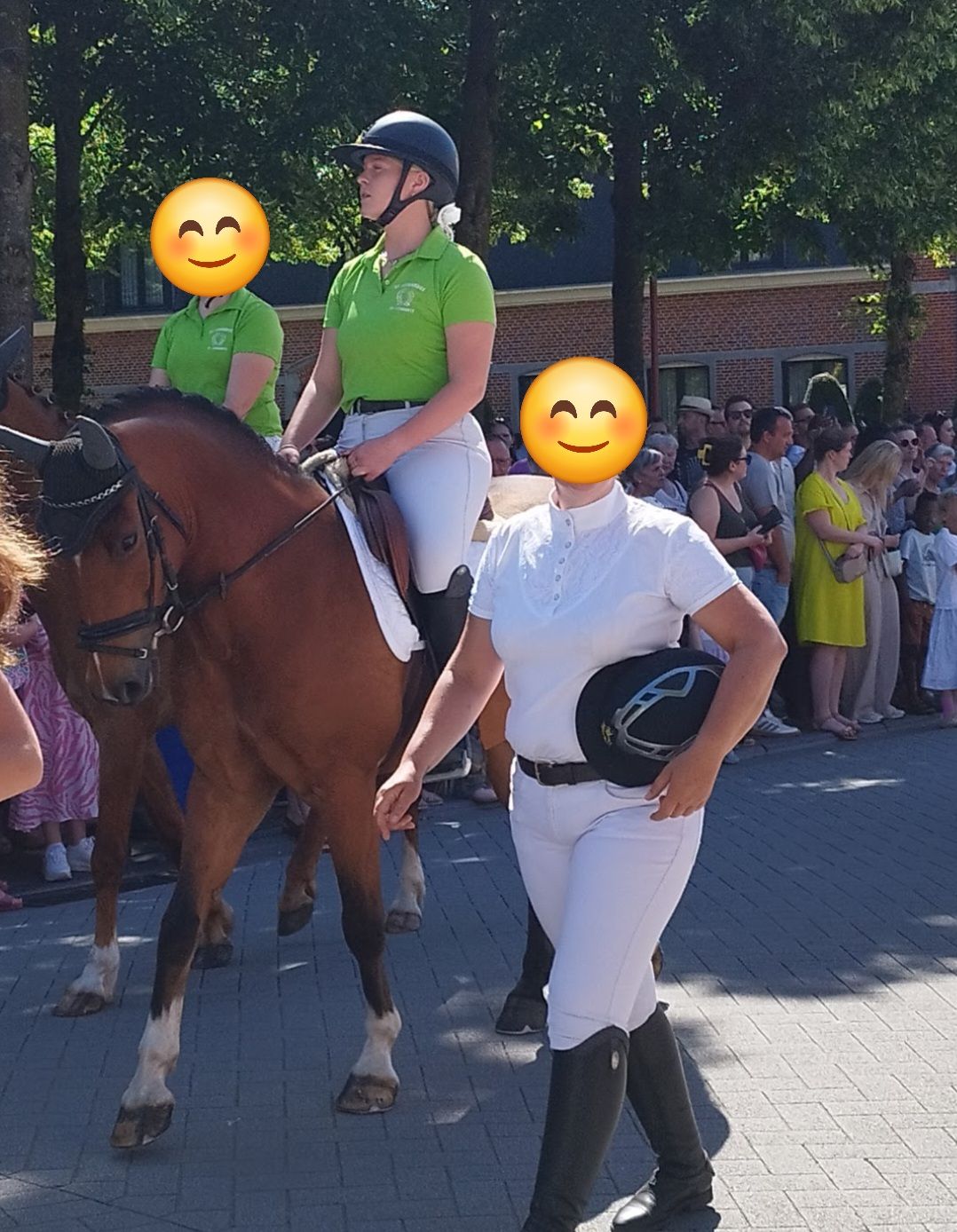 new-forest allround-pony ruin 10 år bruin til salg - Foto 3