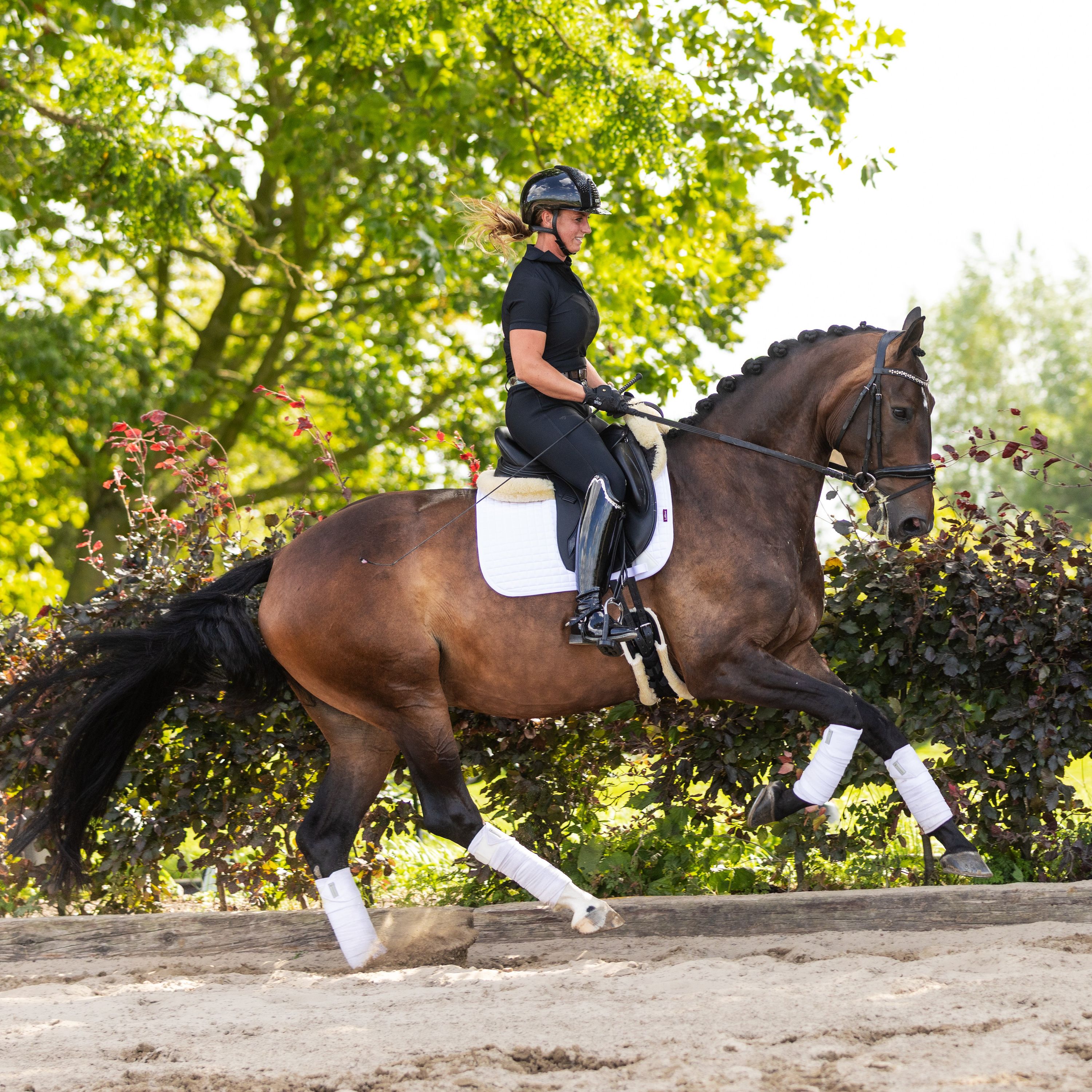 kwpn dressuurpaard merrie 7 years old bruin for sale - Photo 2