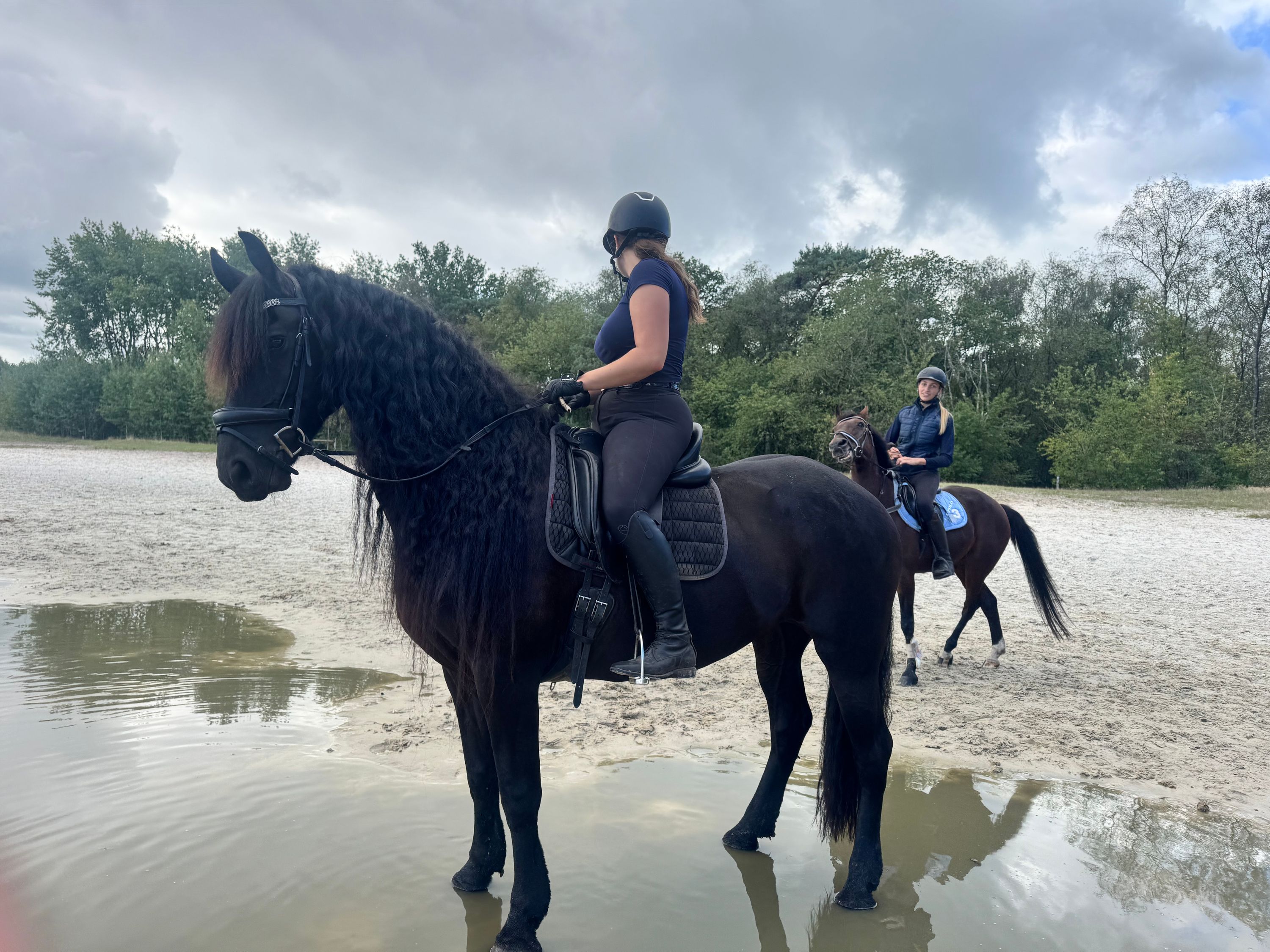 dressuurpaard merrie 13 jaar zwart te koop - Foto 3