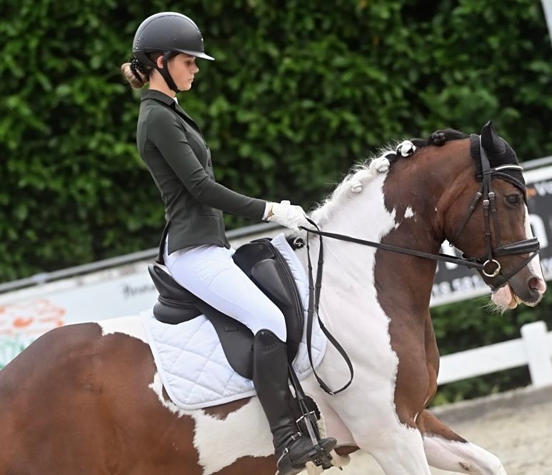 dressuurpony ruin 18 ετών andere-kleur προς πώληση - Φωτογραφία 2