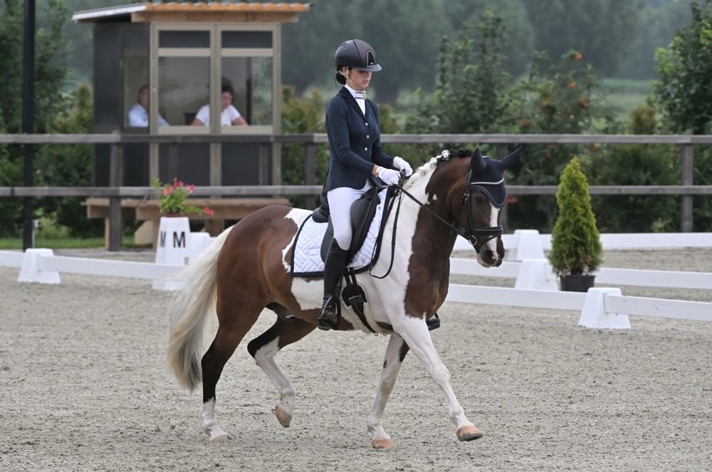dressuurpony ruin 18 ετών andere-kleur προς πώληση - Φωτογραφία 4