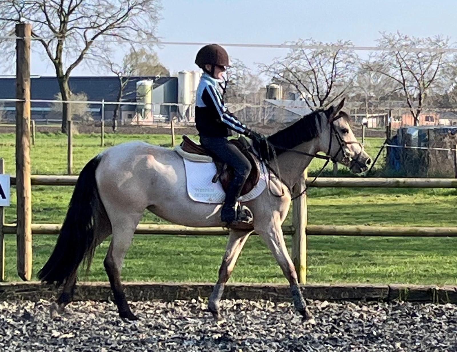 Super brave 4 jarige valk pony