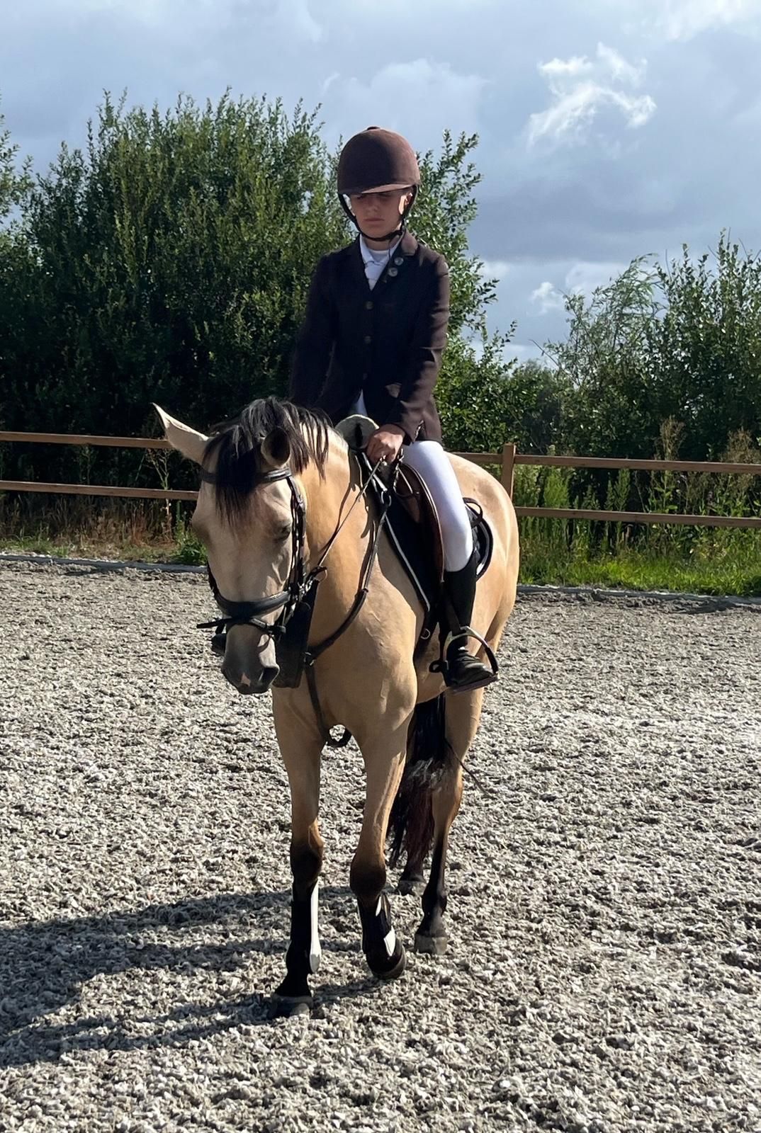 bwp springpony merrie 4 jaar andere-kleur te koop - Foto 5