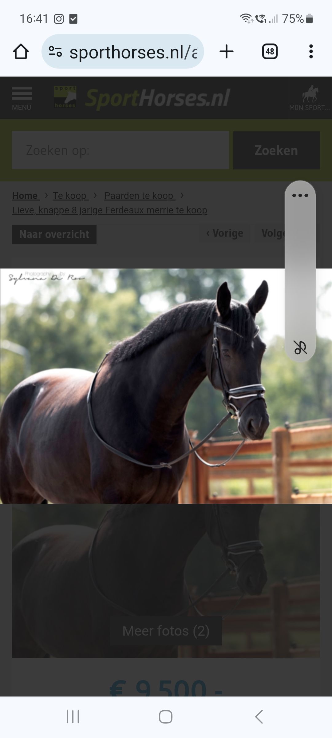 kwpn dressuurpaard merrie 11 Jahre alt zwart zu verkaufen - Hauptfoto