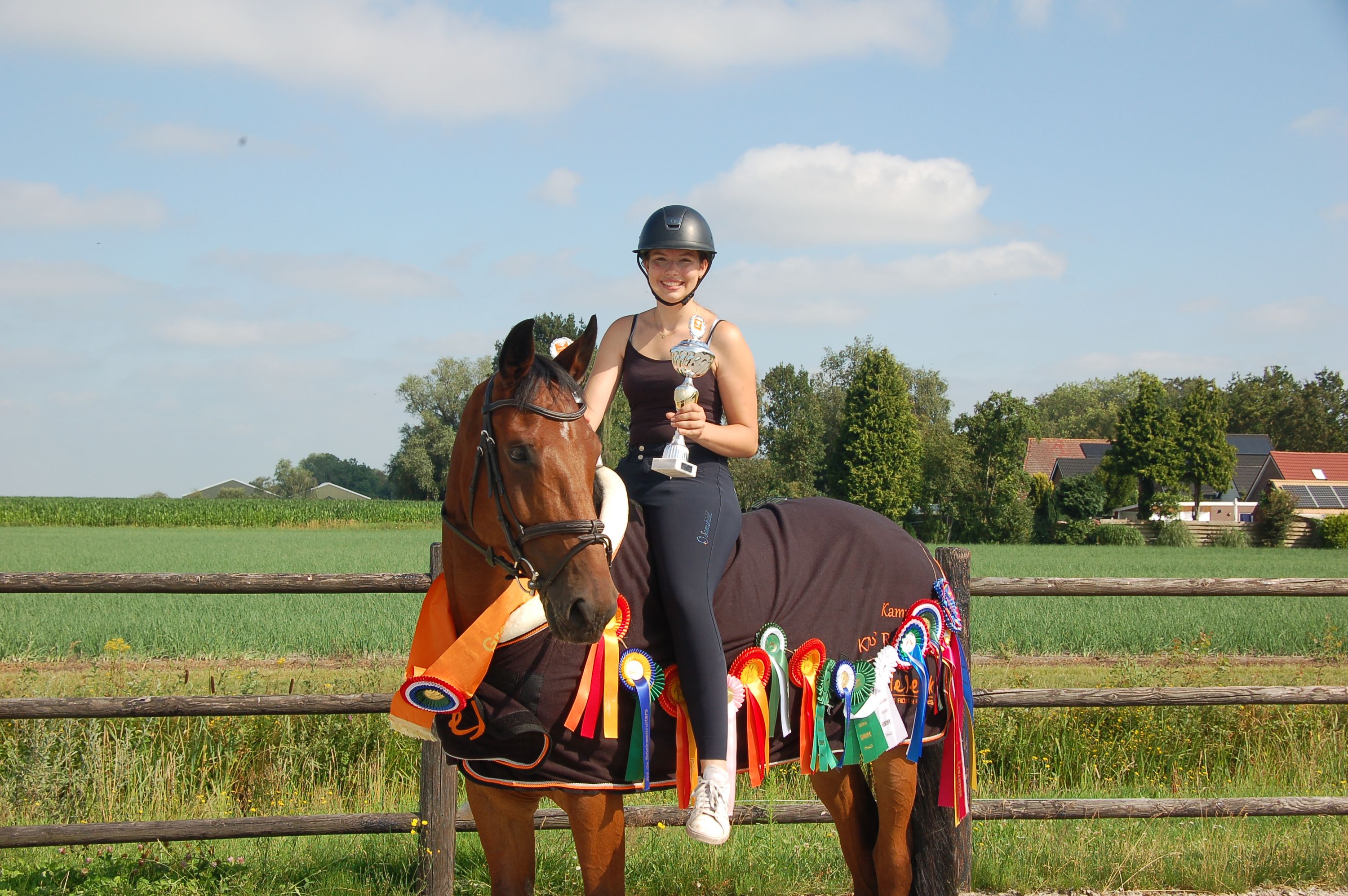 7-jarige merrie met een gouden karakter