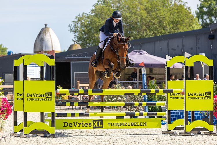 kwpn springpaard merrie 7 jaar donkerbruin te koop - Foto 5