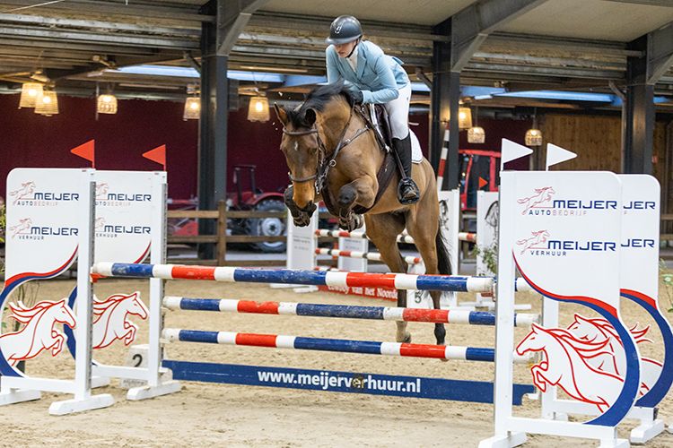 kwpn springpaard merrie 7 jaar donkerbruin te koop - Foto 6